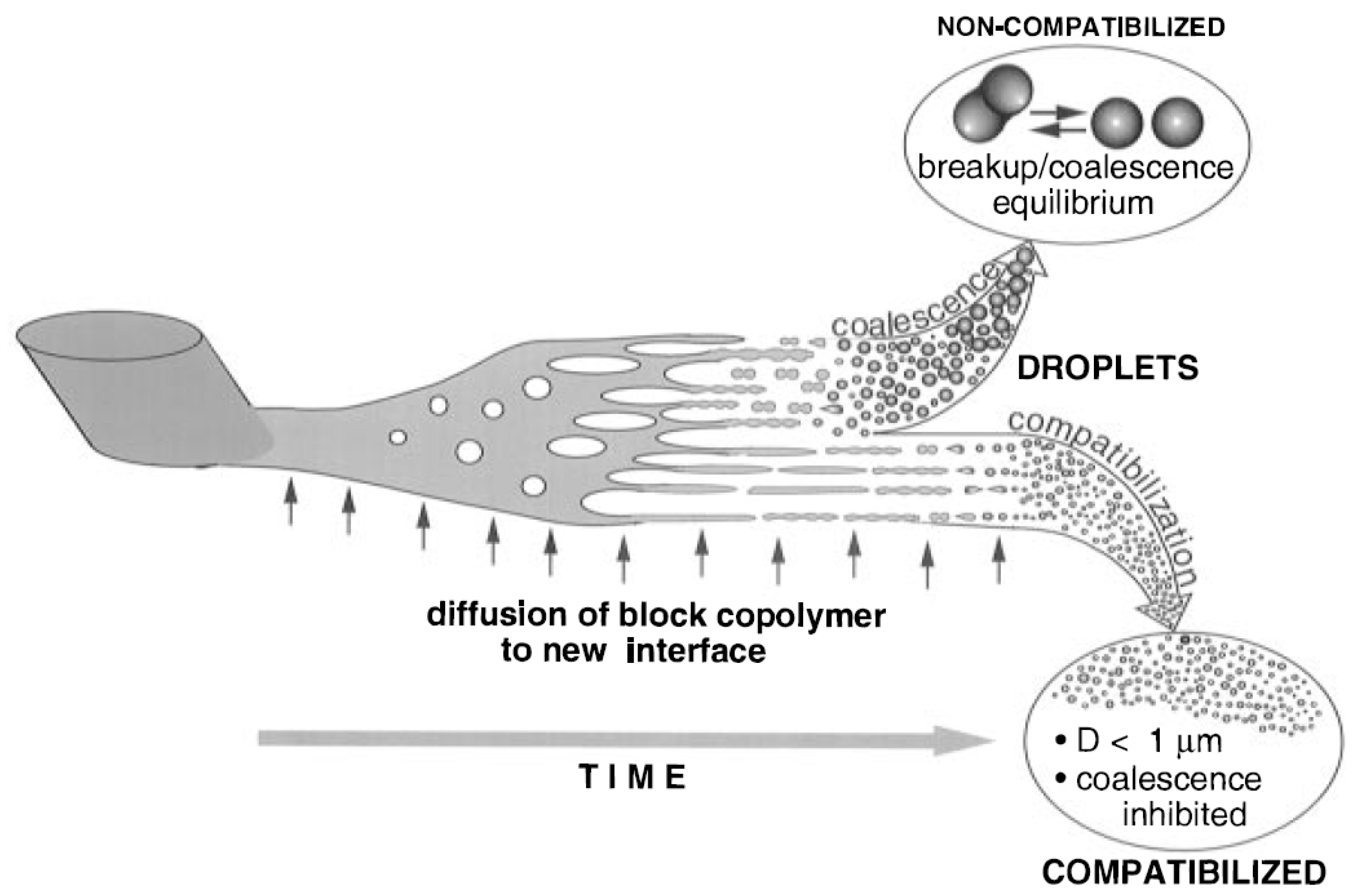 Polymers 16 01776 g004