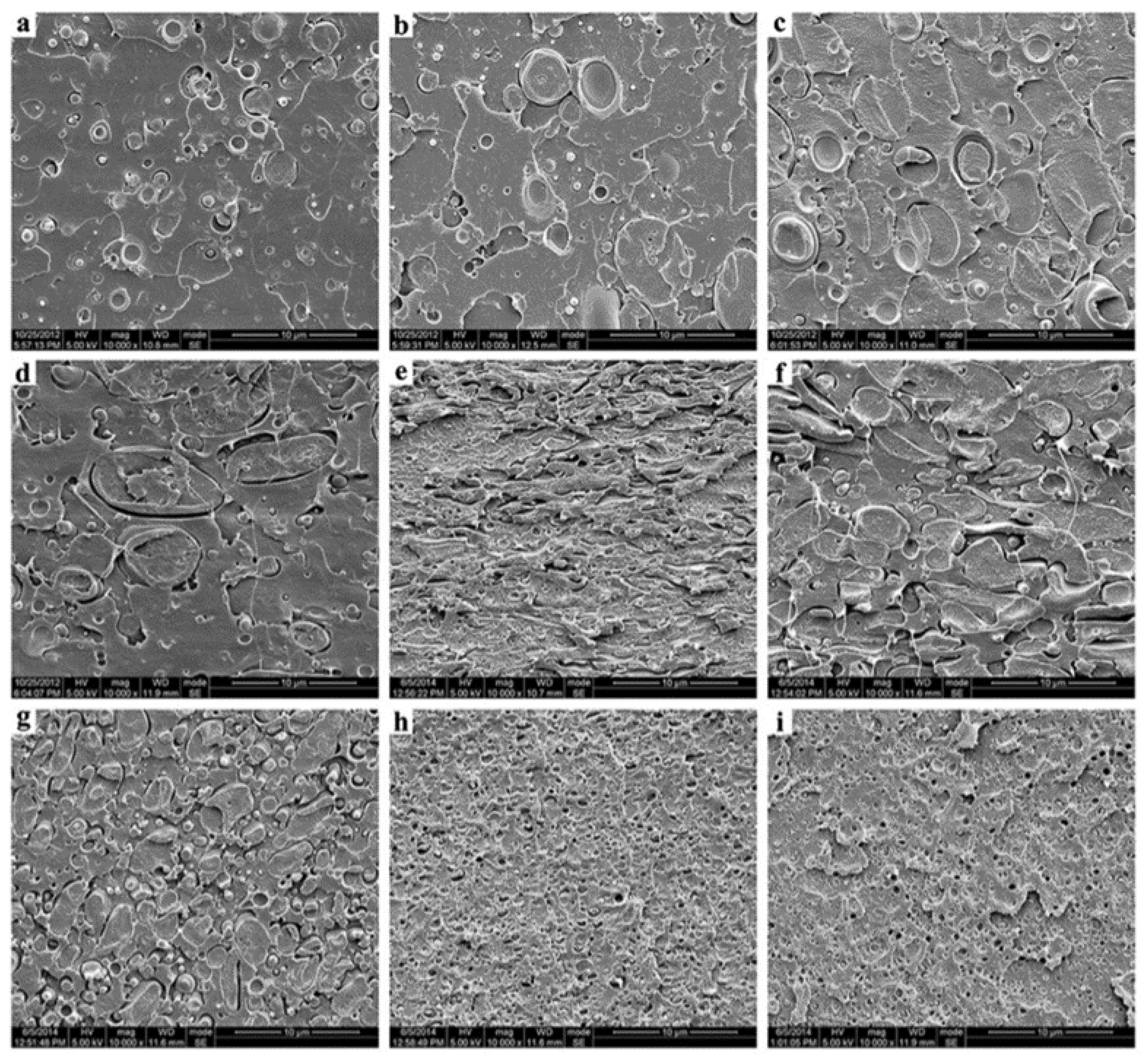 Polymers 16 01776 g007