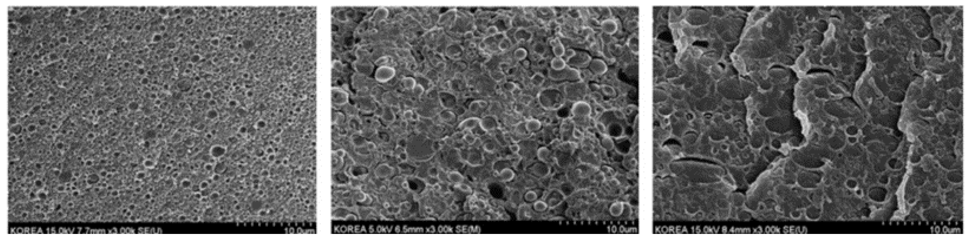 Polymers 16 01776 g010