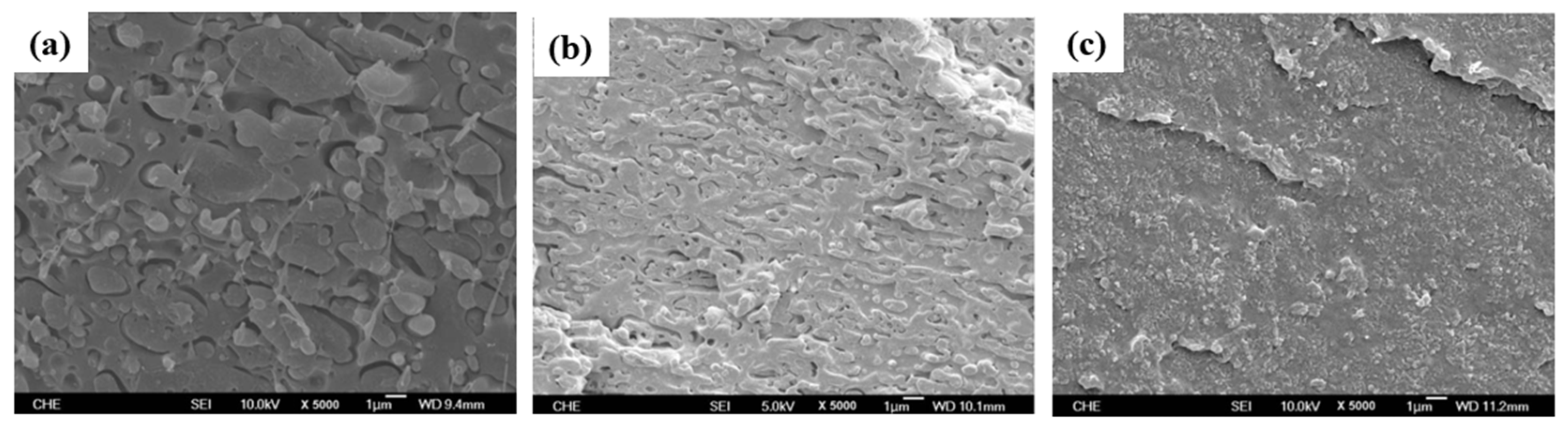 Polymers 16 01776 g011