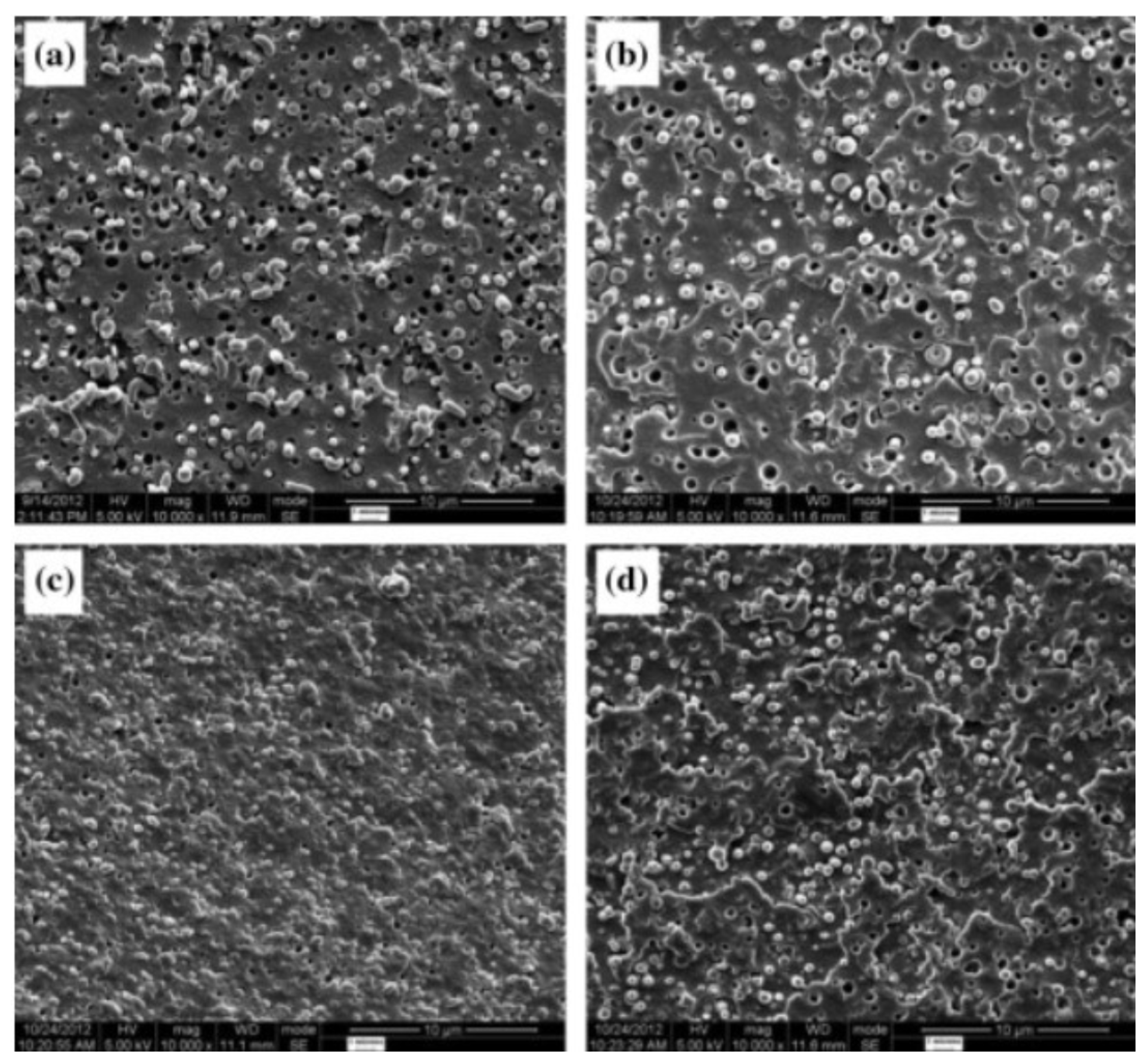 Polymers 16 01776 g014