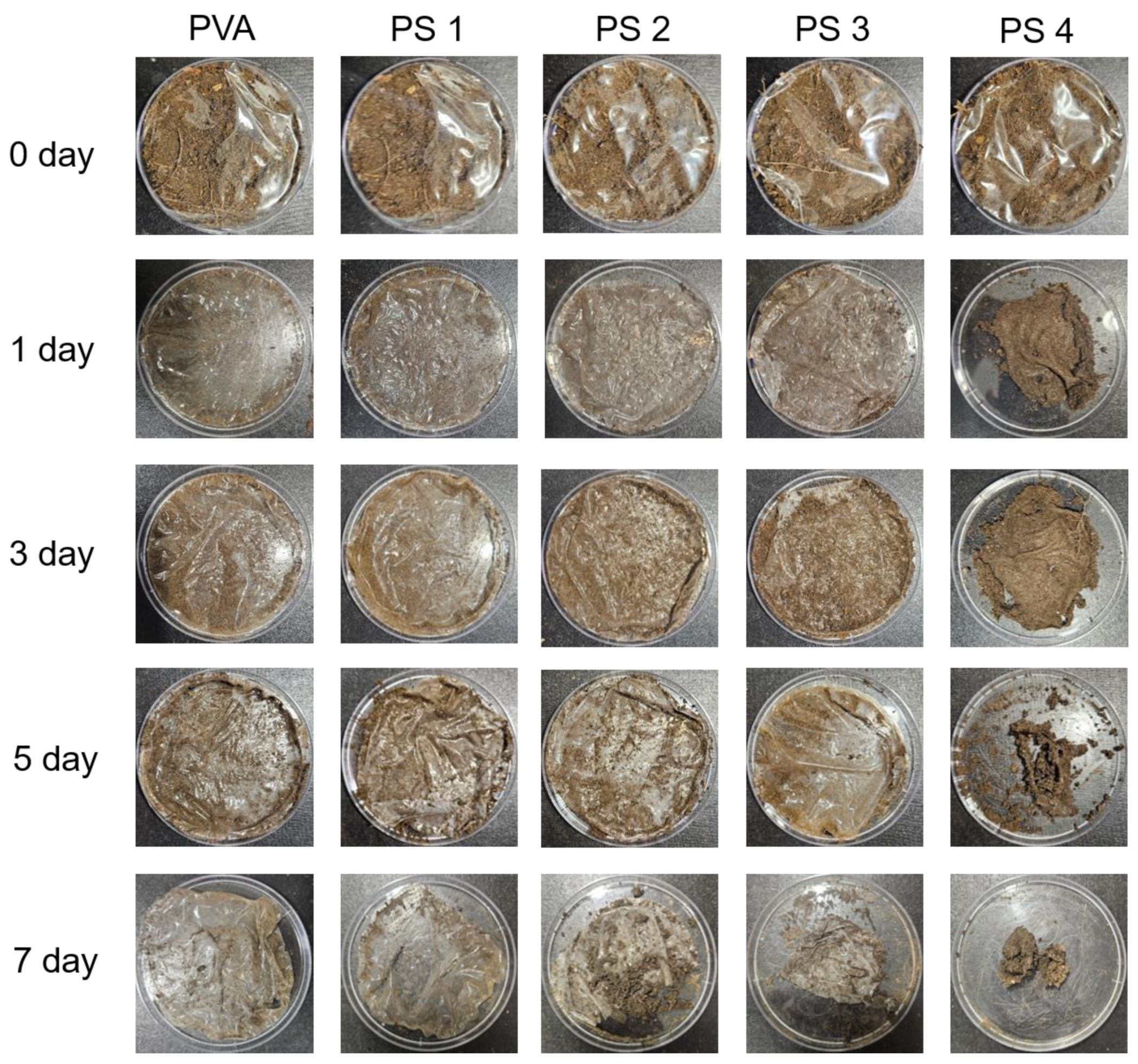 Polymers 16 01783 g010