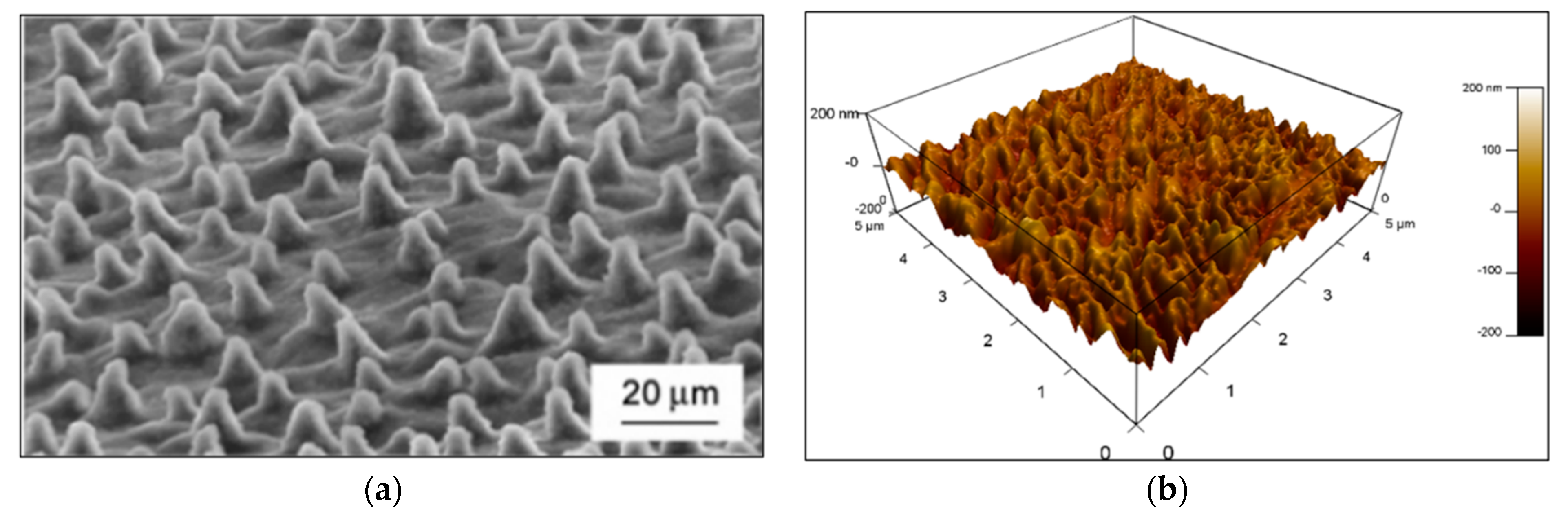 Polymers 16 01791 g005