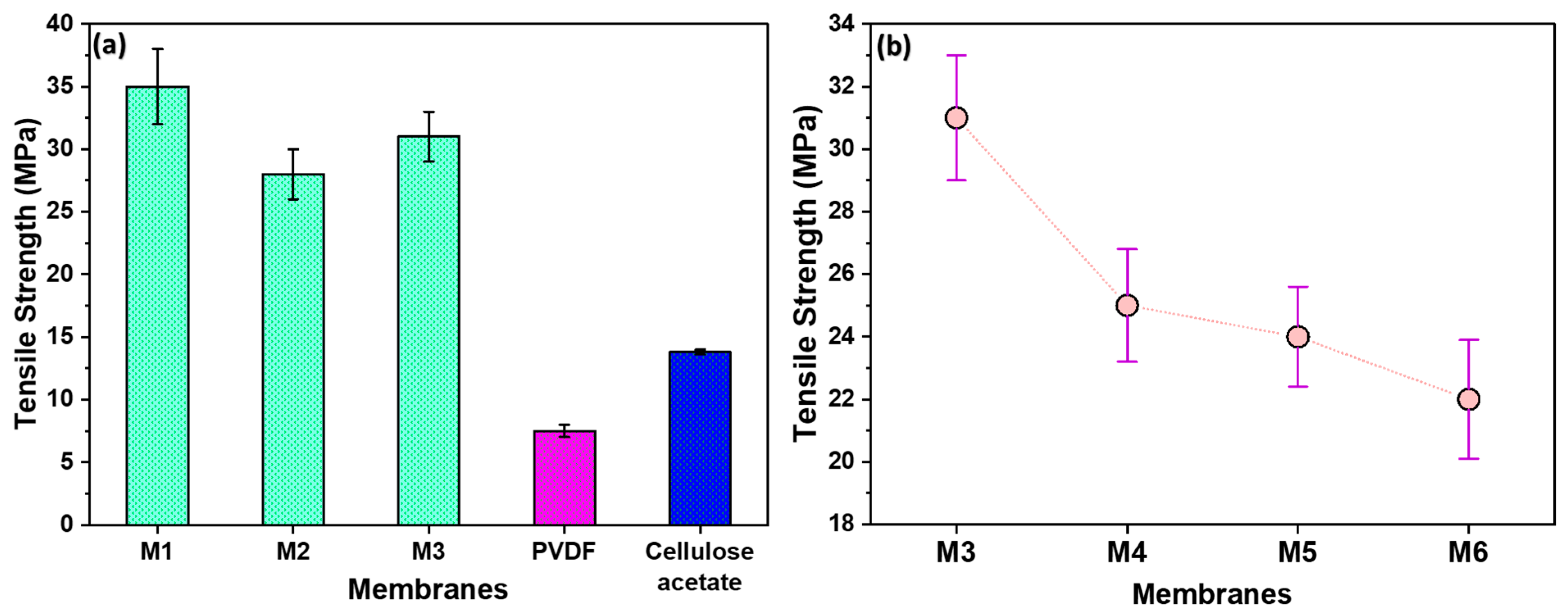 Polymers 16 01799 g004