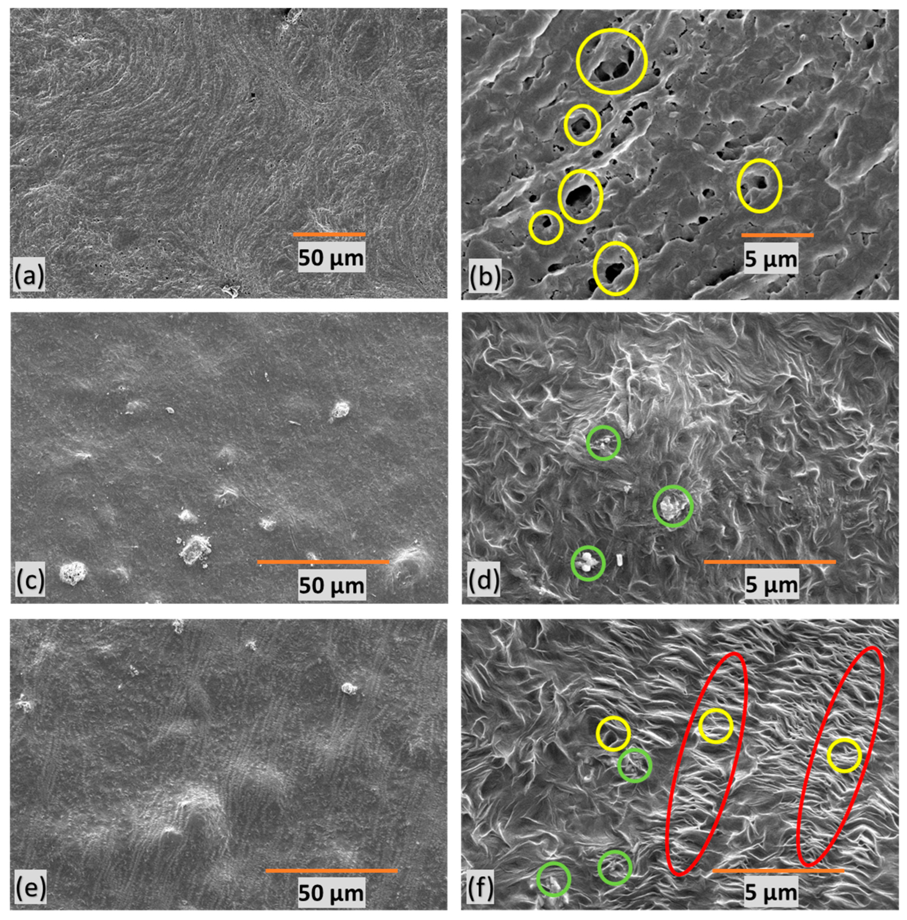 Polymers 16 01799 g006