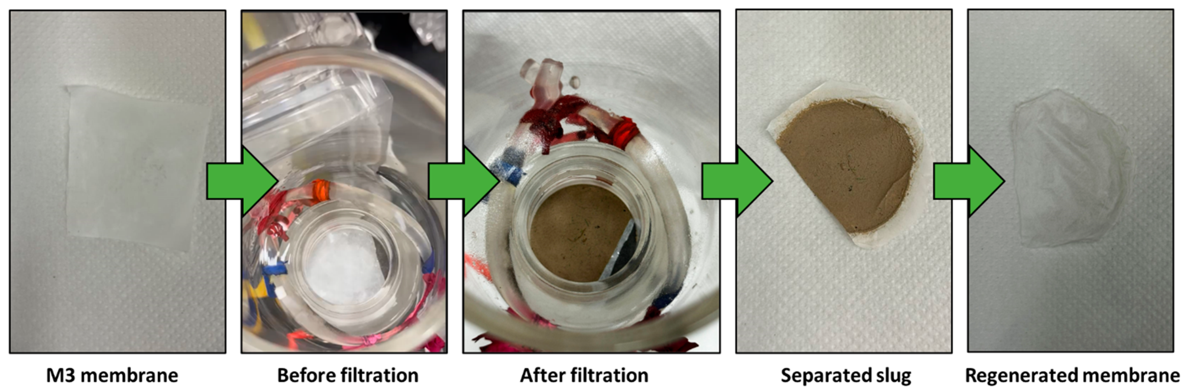 Polymers 16 01799 g010