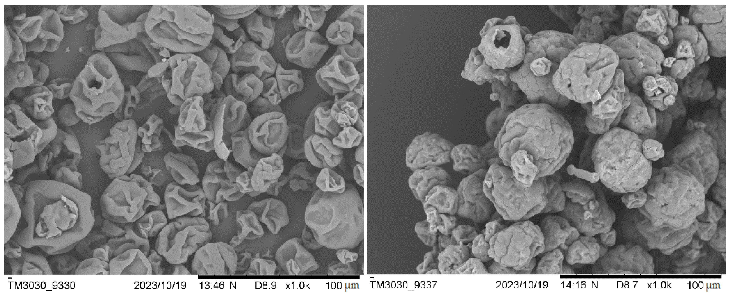Polymers 16 01807 g003