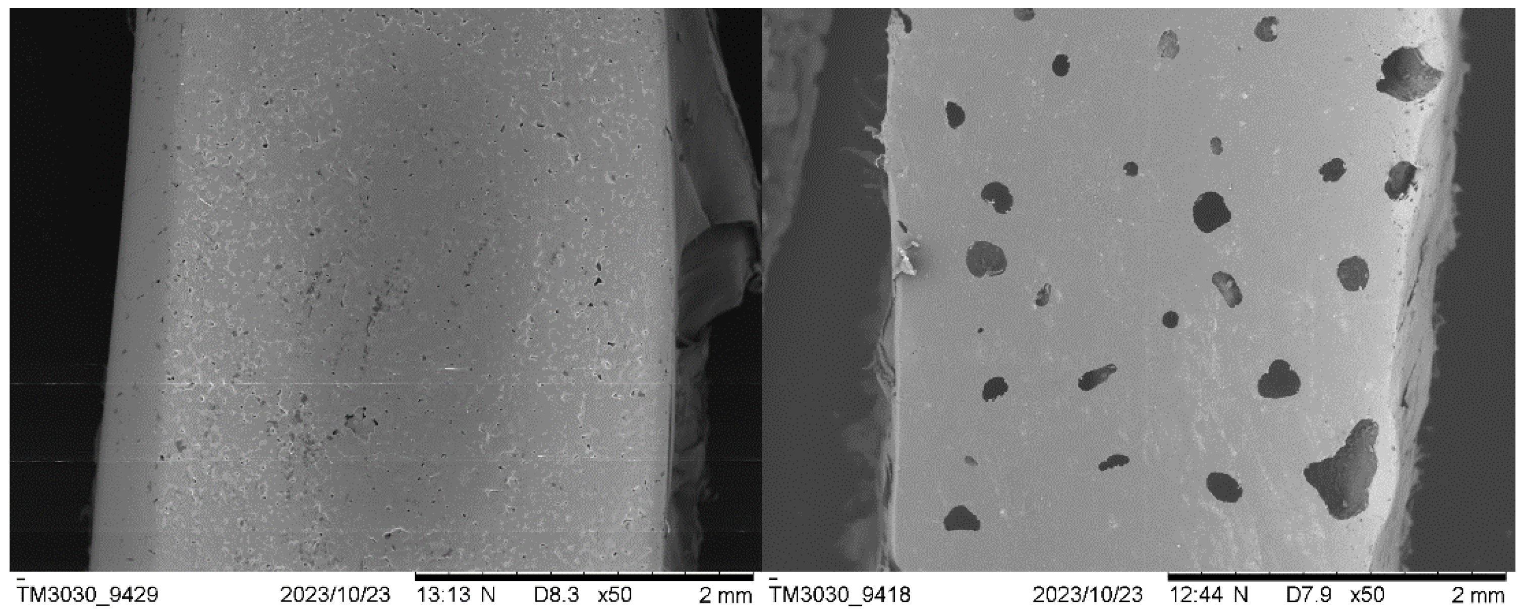 Polymers 16 01807 g011
