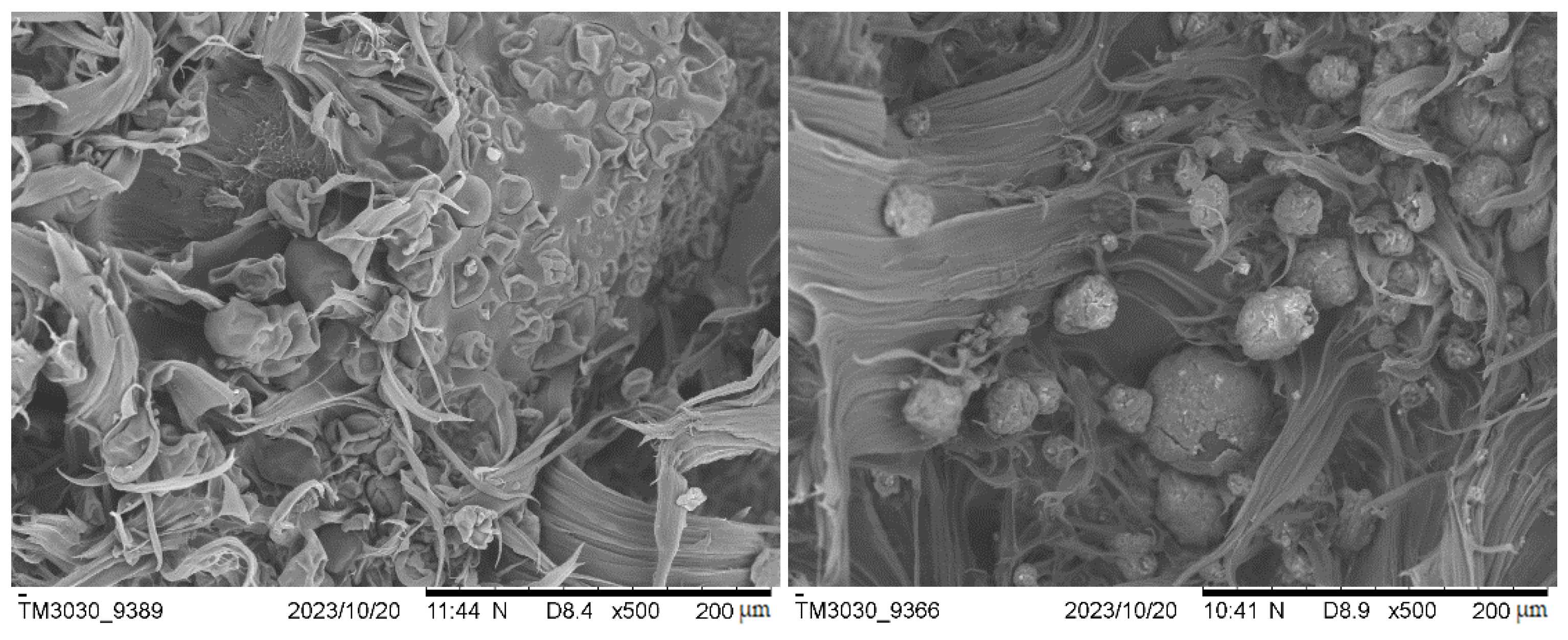 Polymers 16 01807 g012
