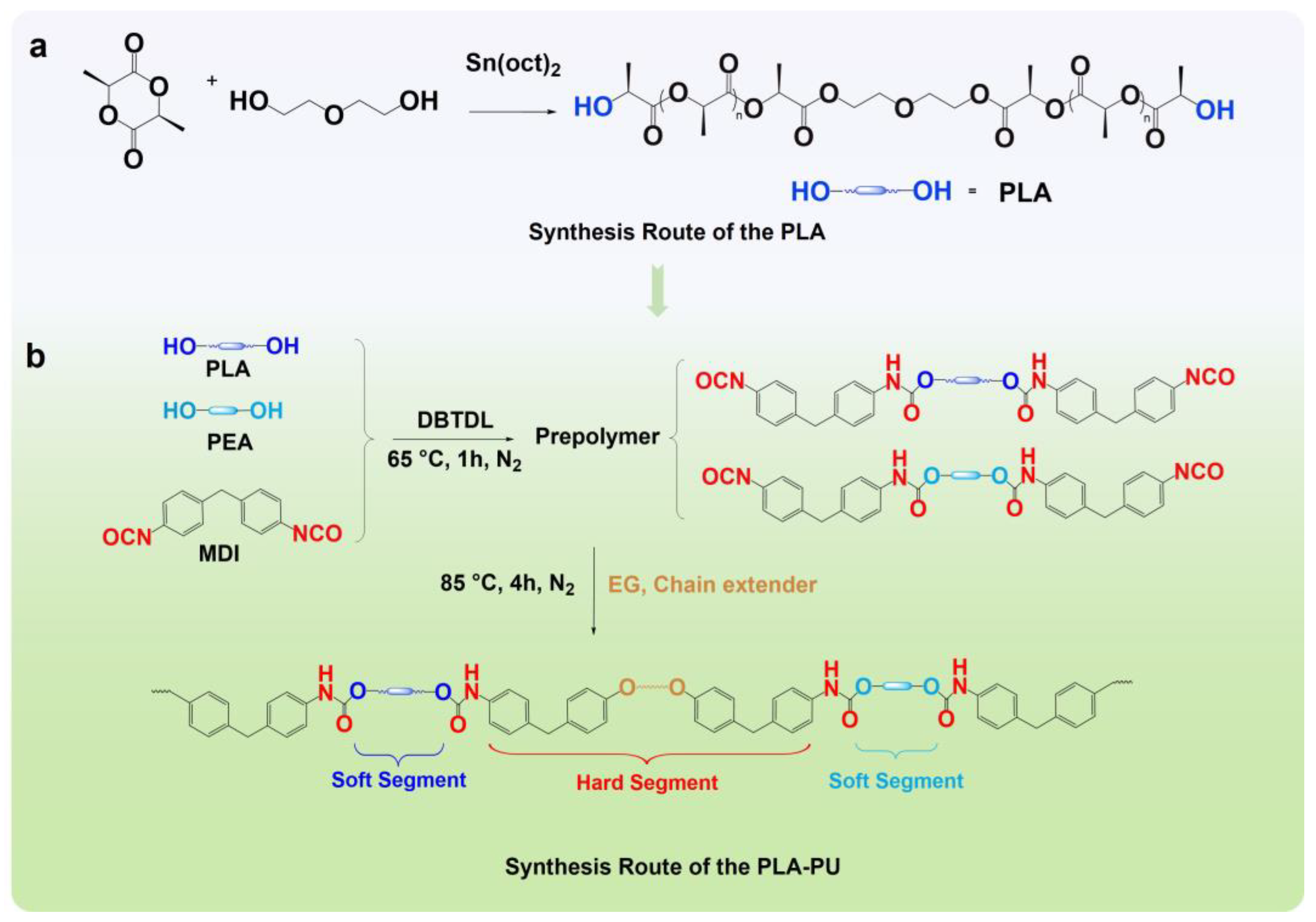 Polymers 16 01809 sch001