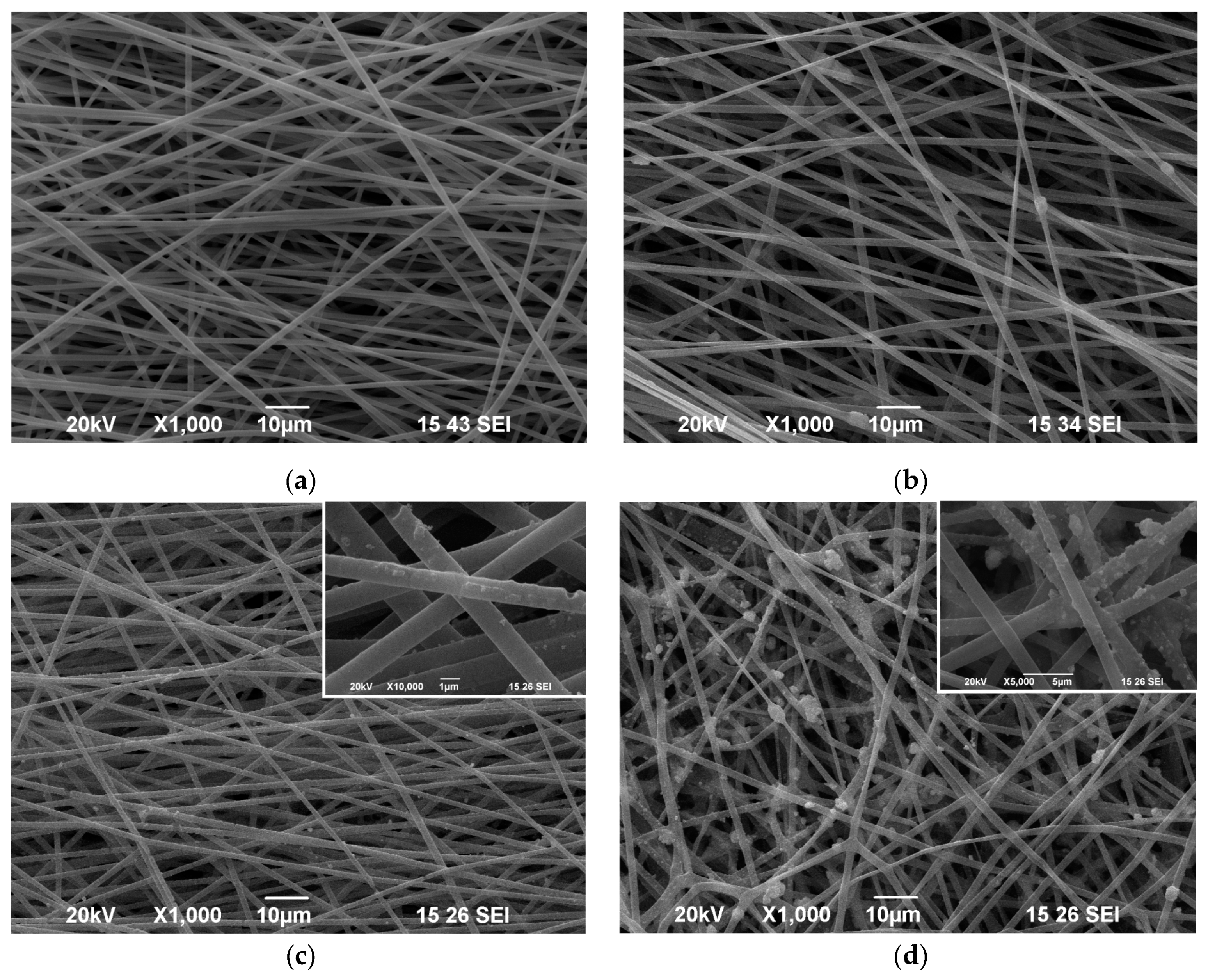 Polymers 16 01814 g001