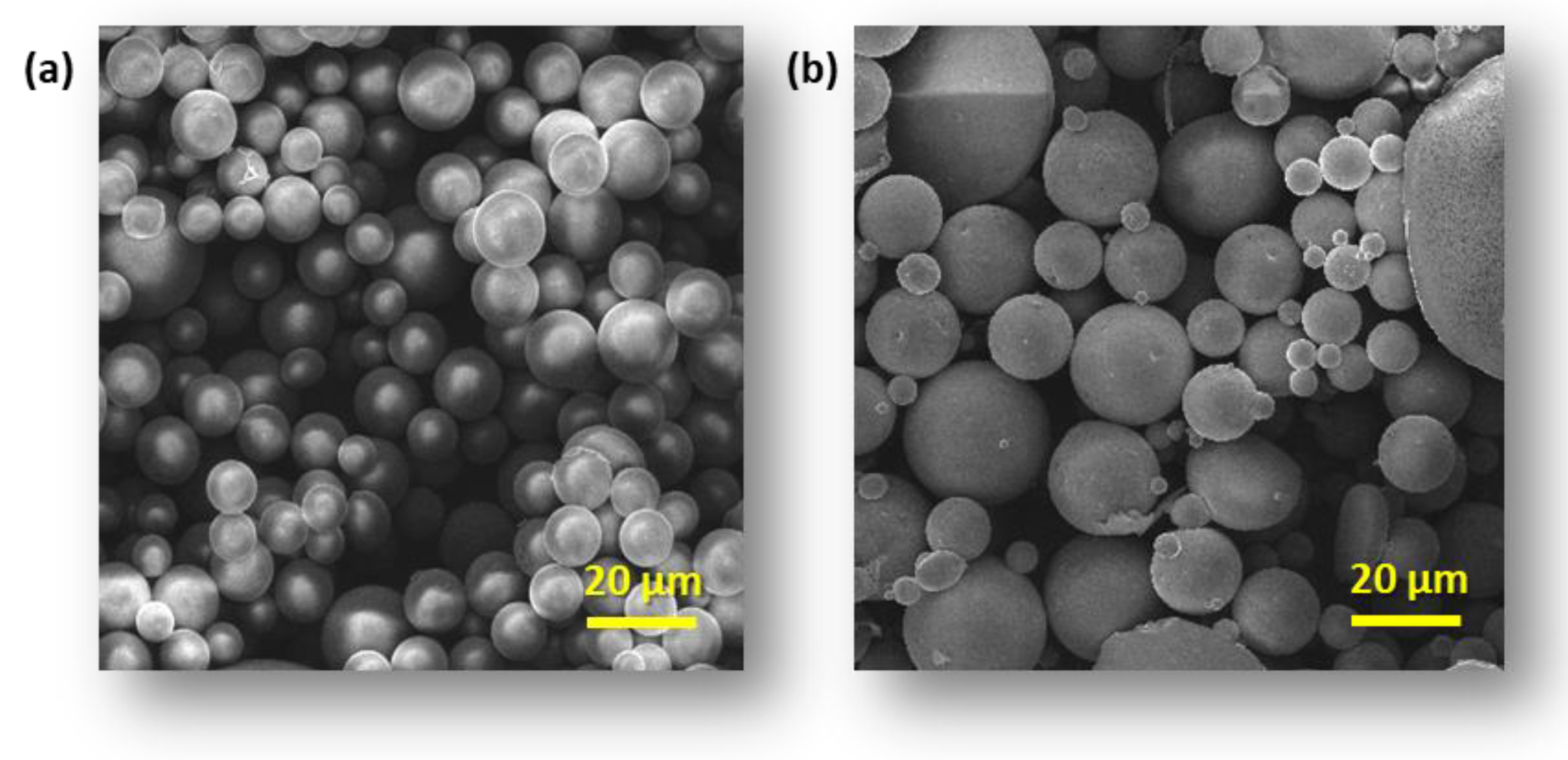 Polymers 16 01815 g002