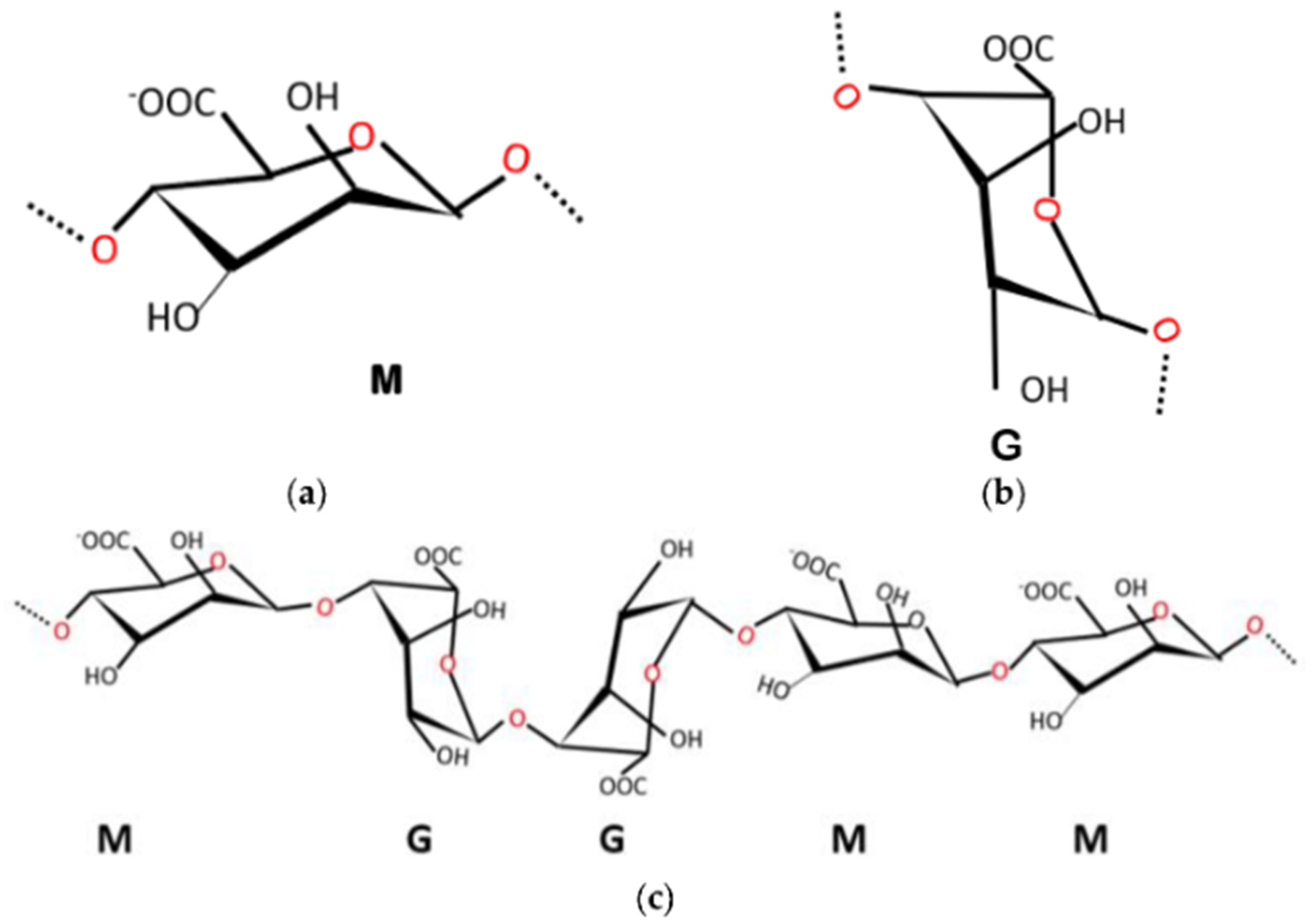 Polymers 16 01817 g001