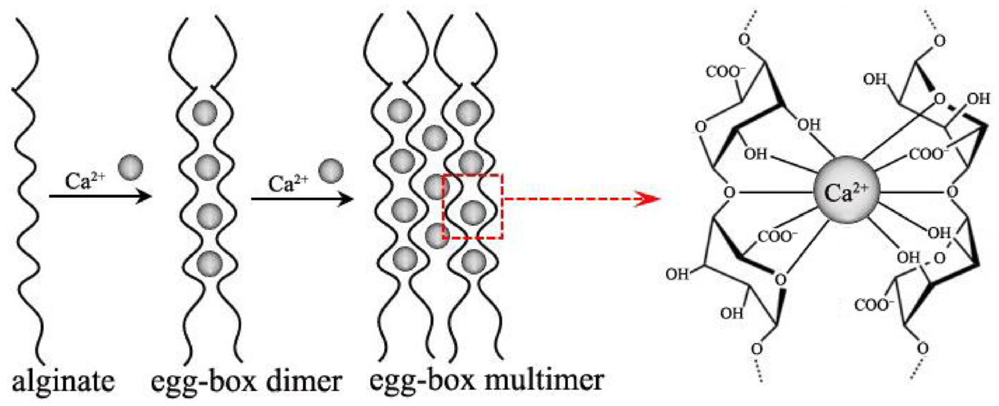 Polymers 16 01817 g003
