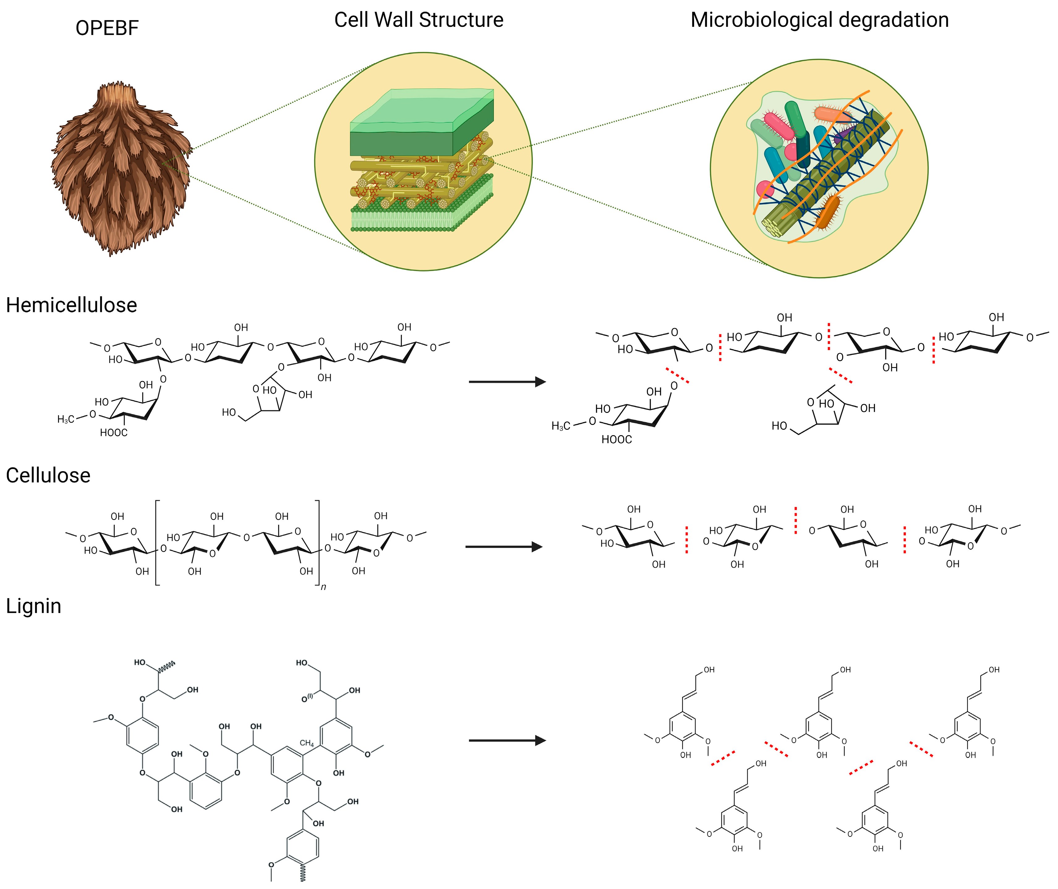 Polymers 16 01822 g006
