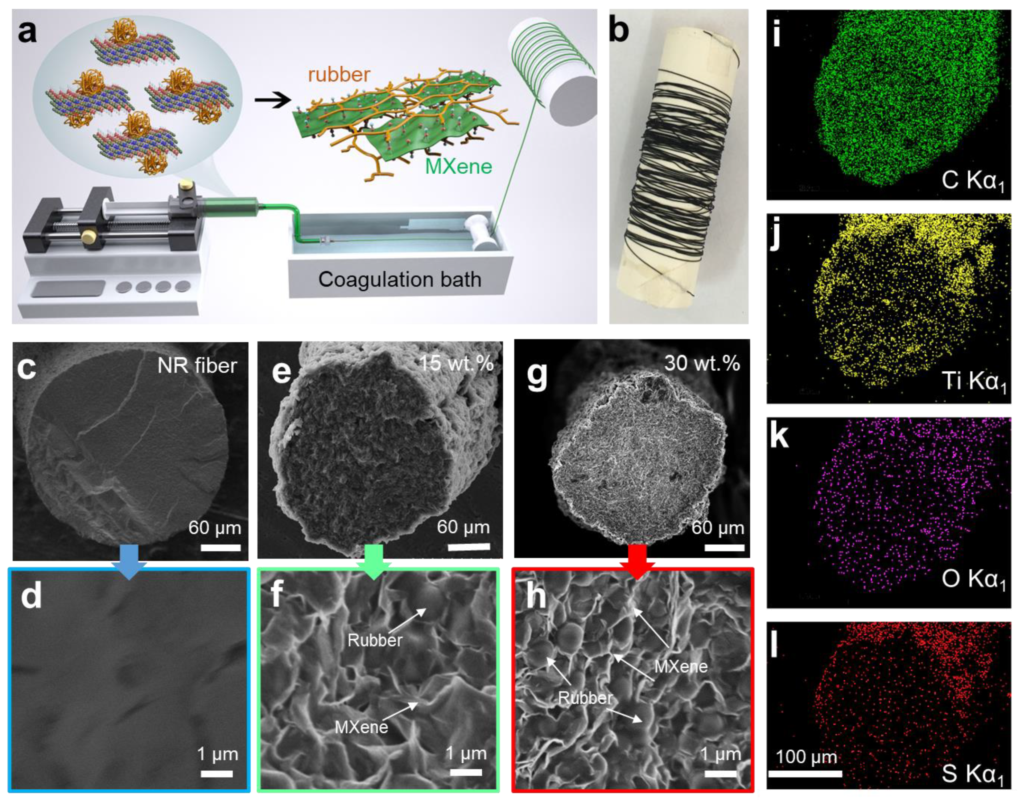 Polymers 16 01824 g001