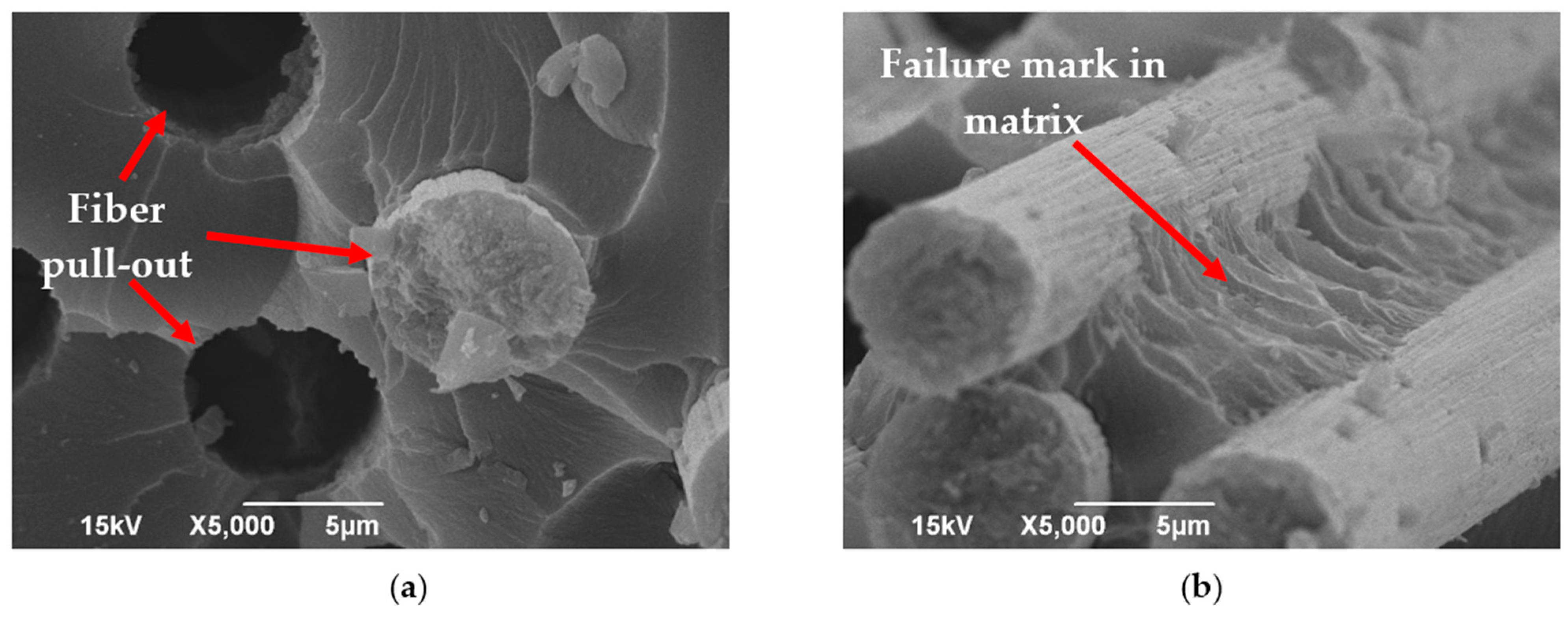 Polymers 16 01828 g009