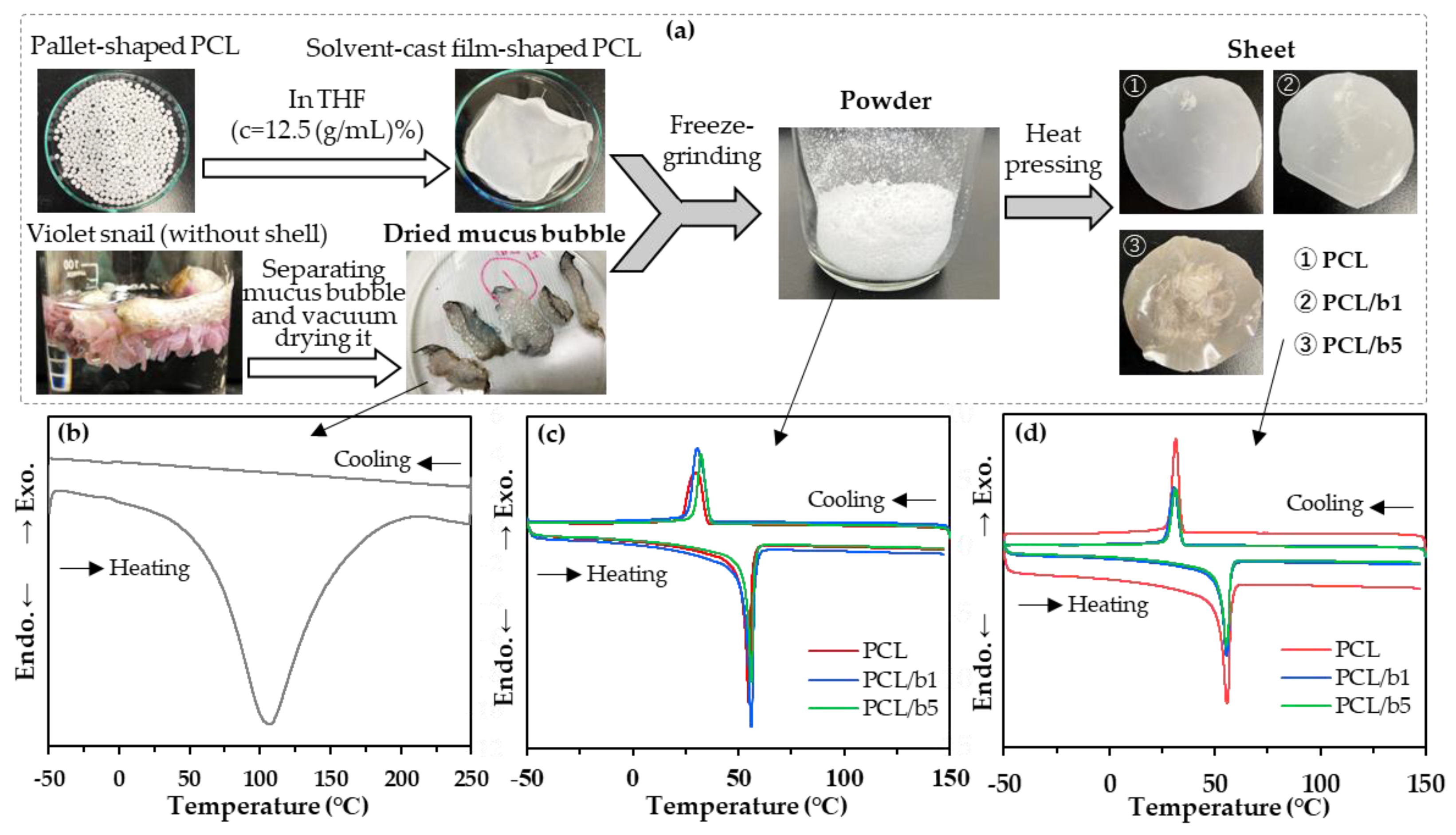 Polymers 16 01830 g001