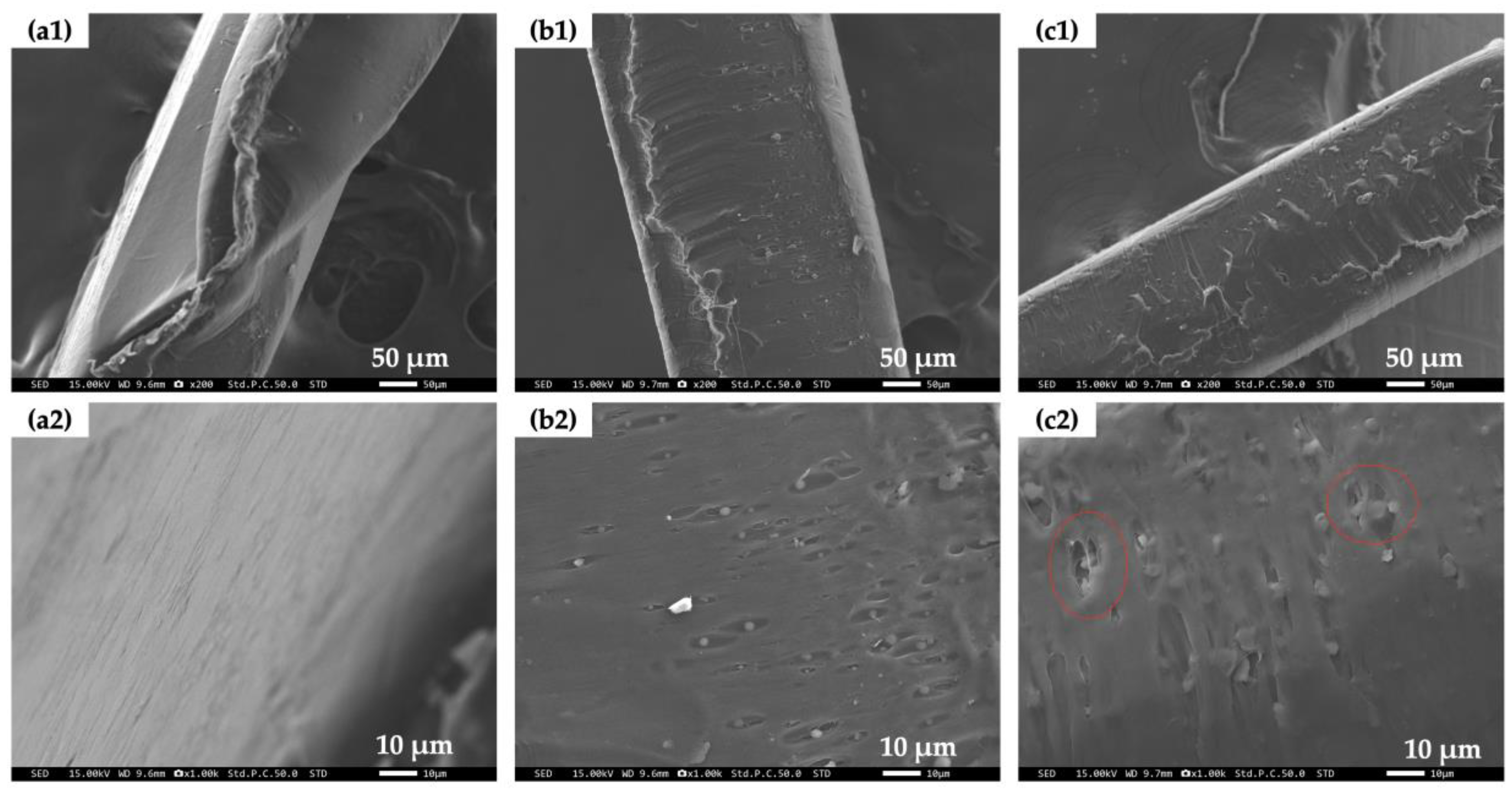 Polymers 16 01830 g004