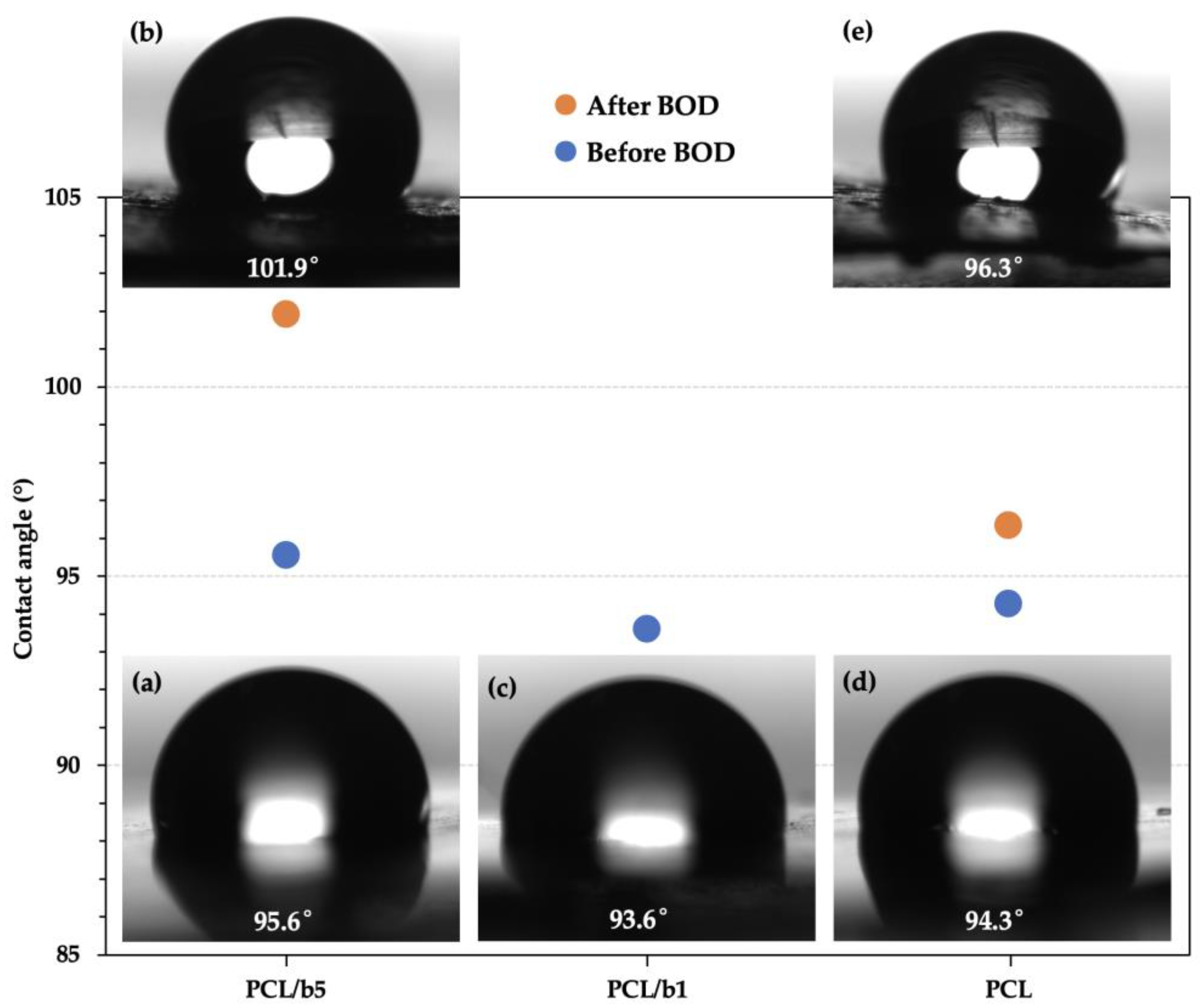 Polymers 16 01830 g007