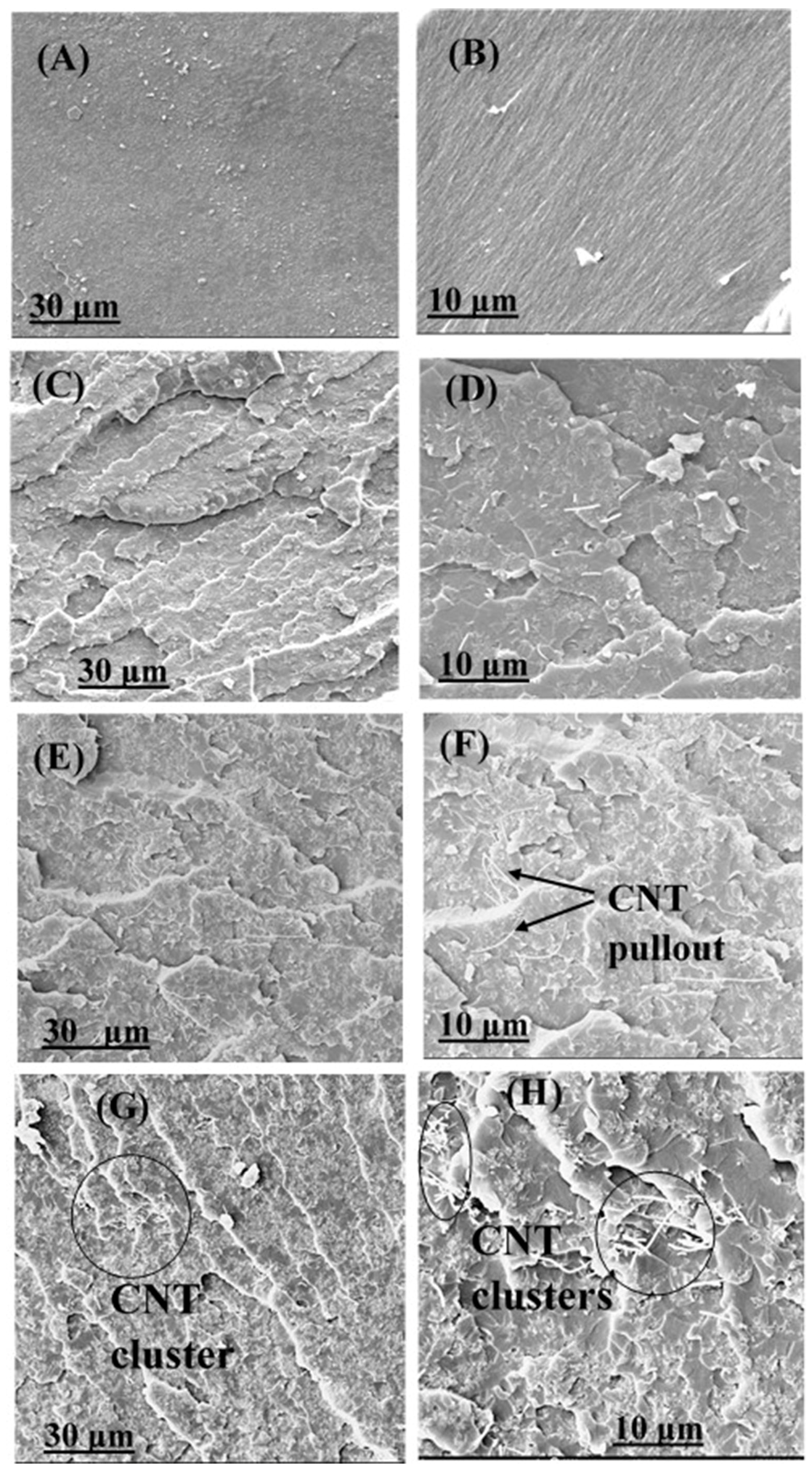 Polymers 16 01836 g006