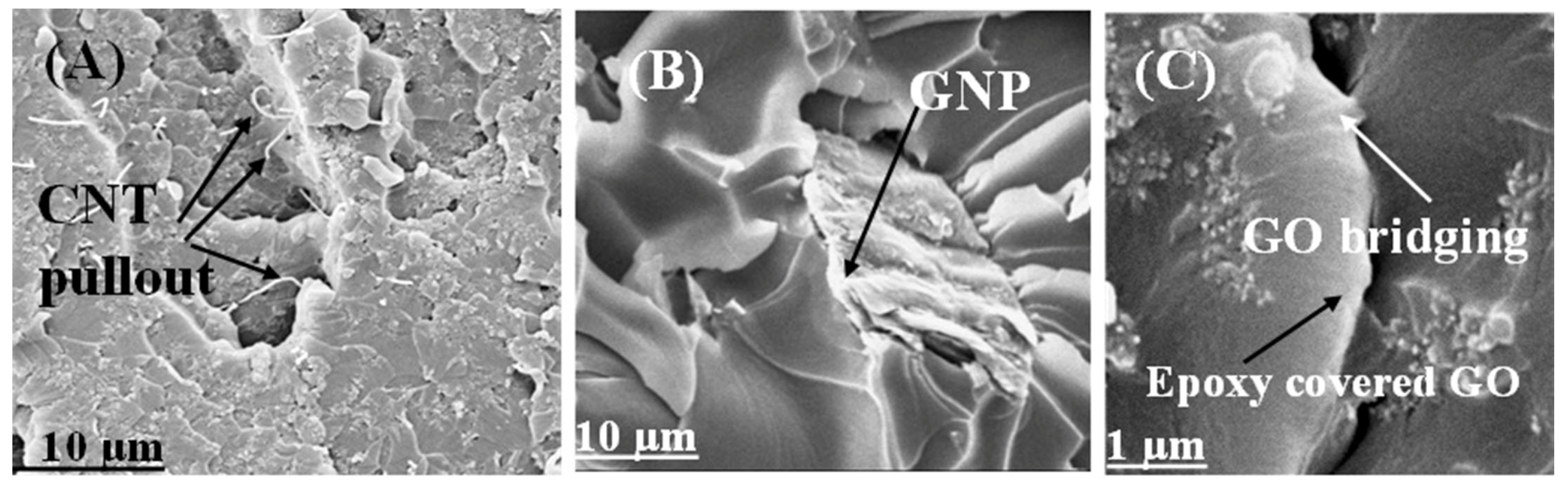 Polymers 16 01836 g008