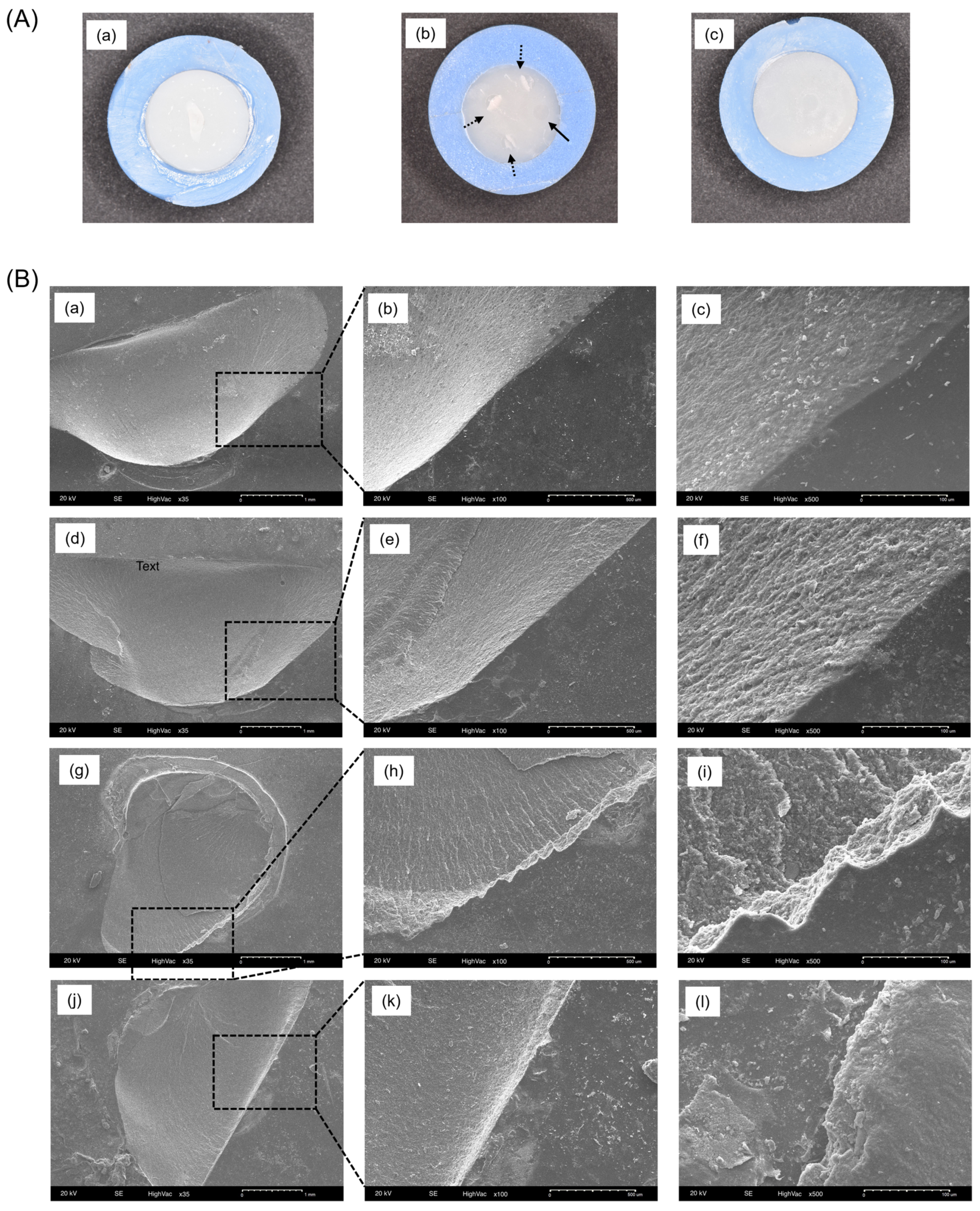 Polymers 16 01838 g004