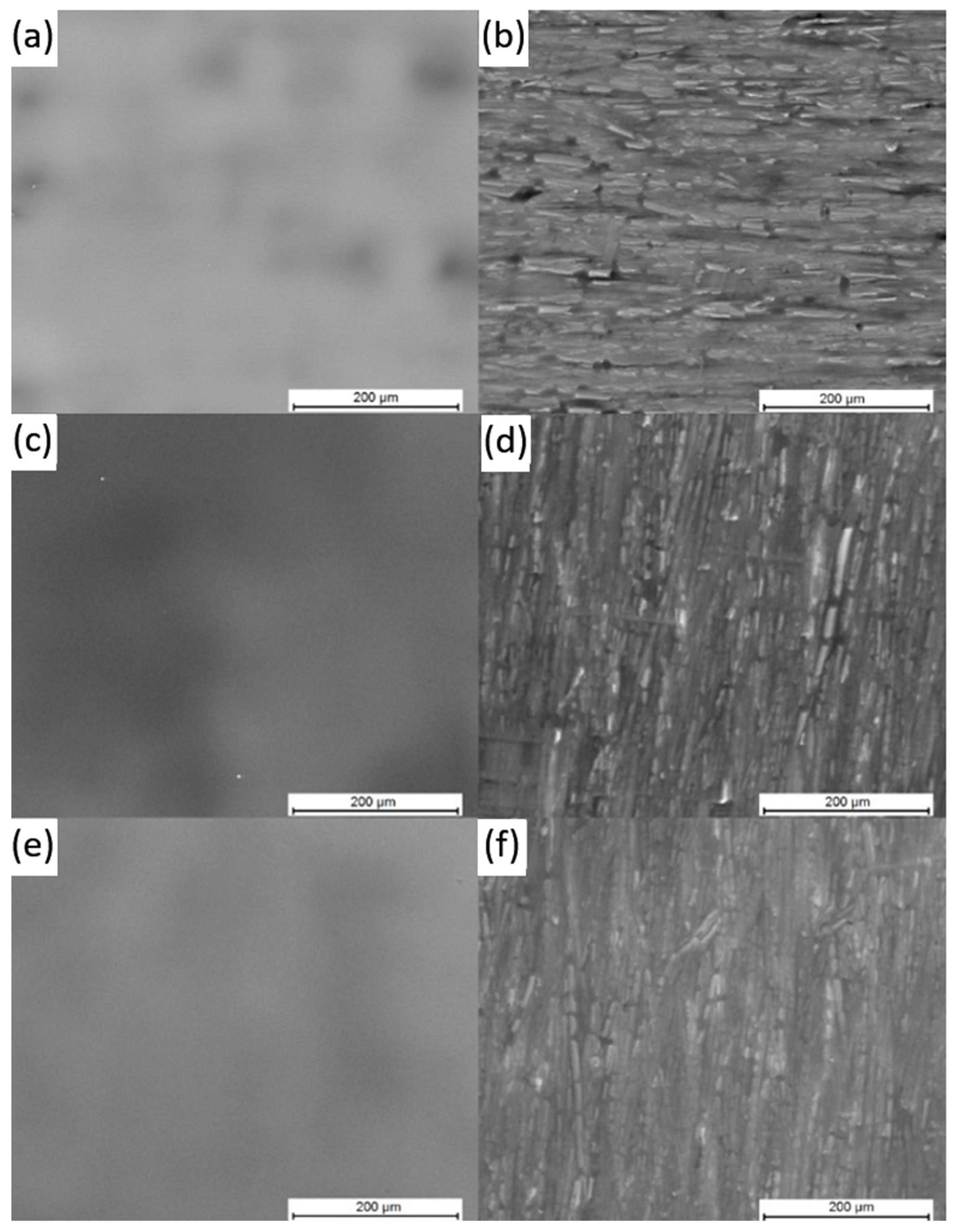 Polymers 16 01840 g003