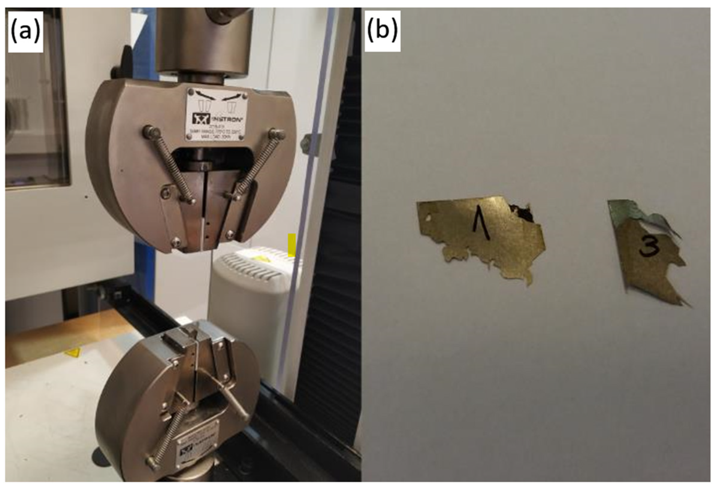 Polymers 16 01840 g006