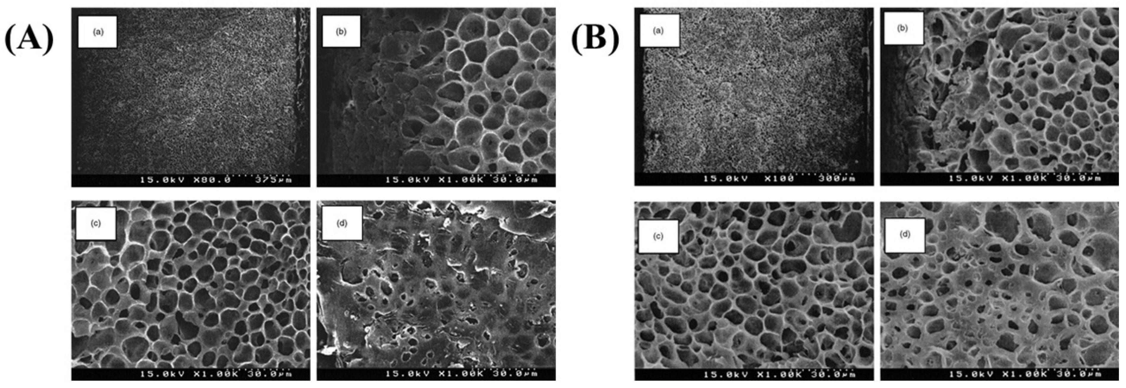 Polymers 16 01846 g008