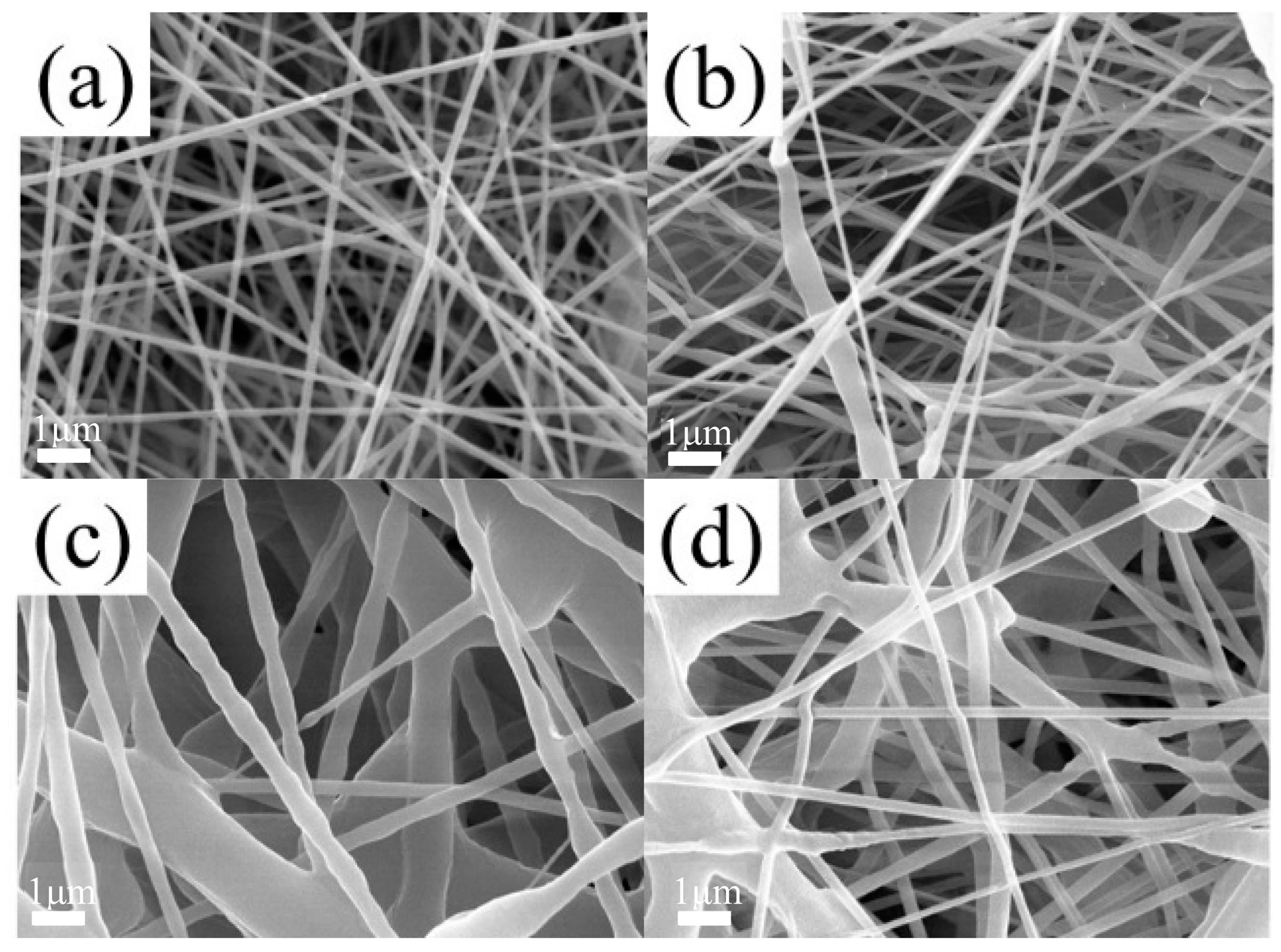 Polymers 16 01854 g006