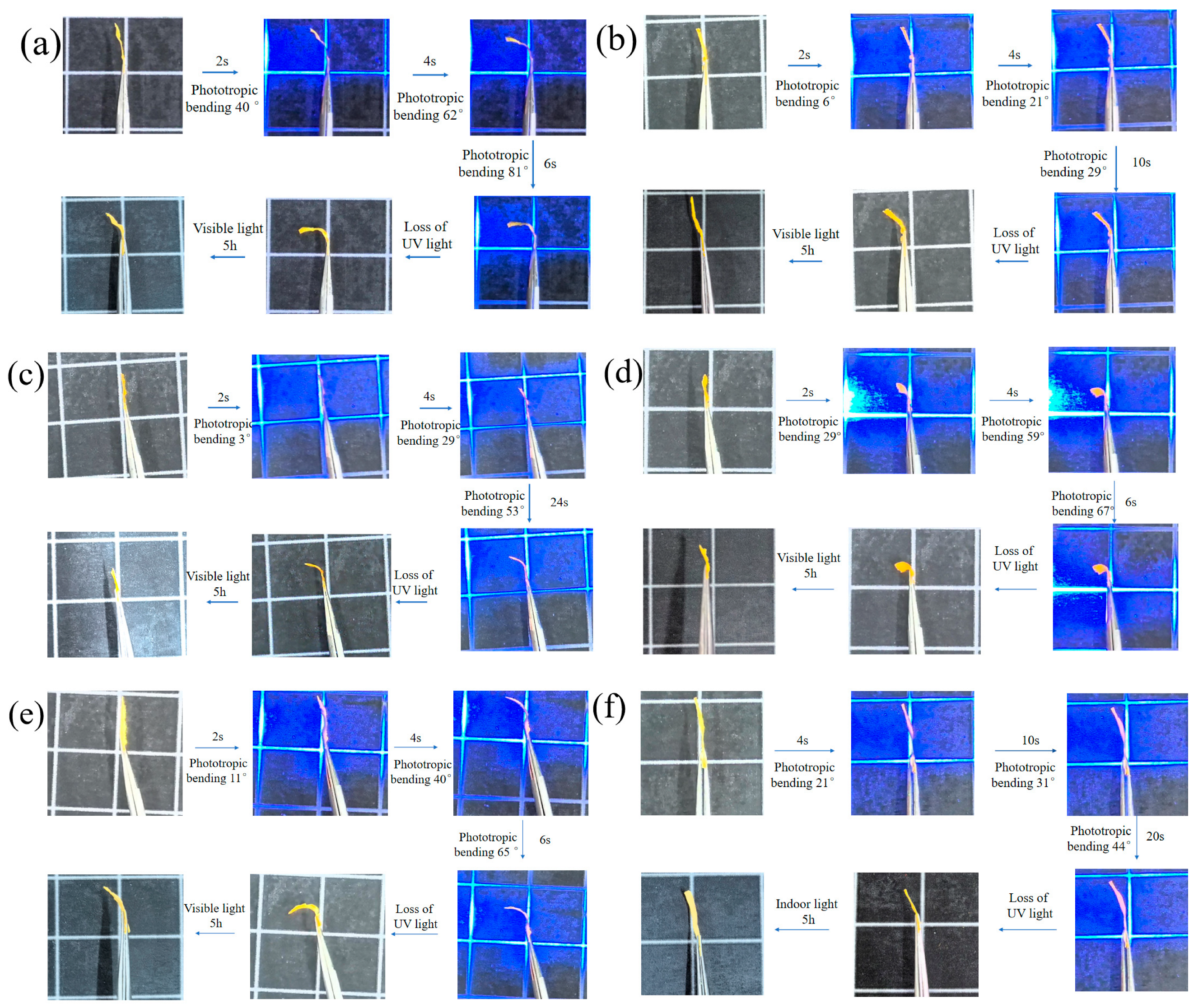 Polymers 16 01854 g010