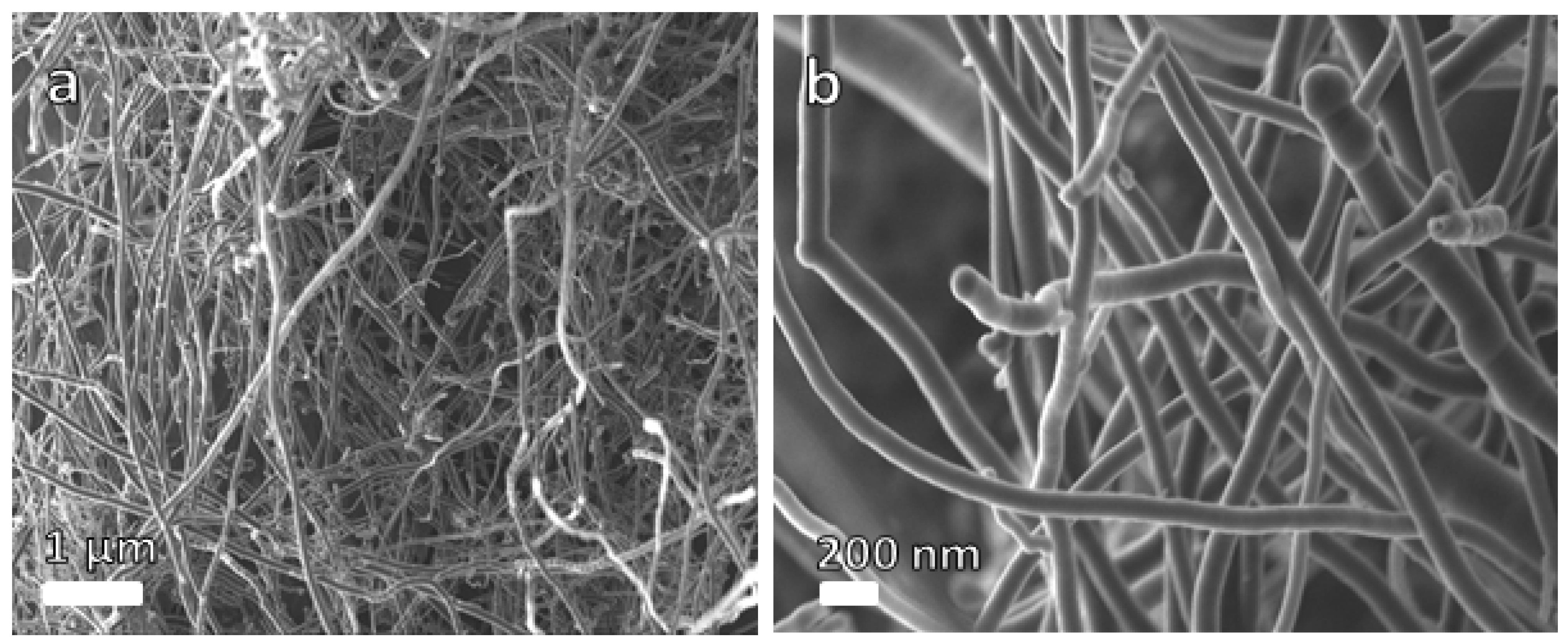 Polymers 16 01859 g001
