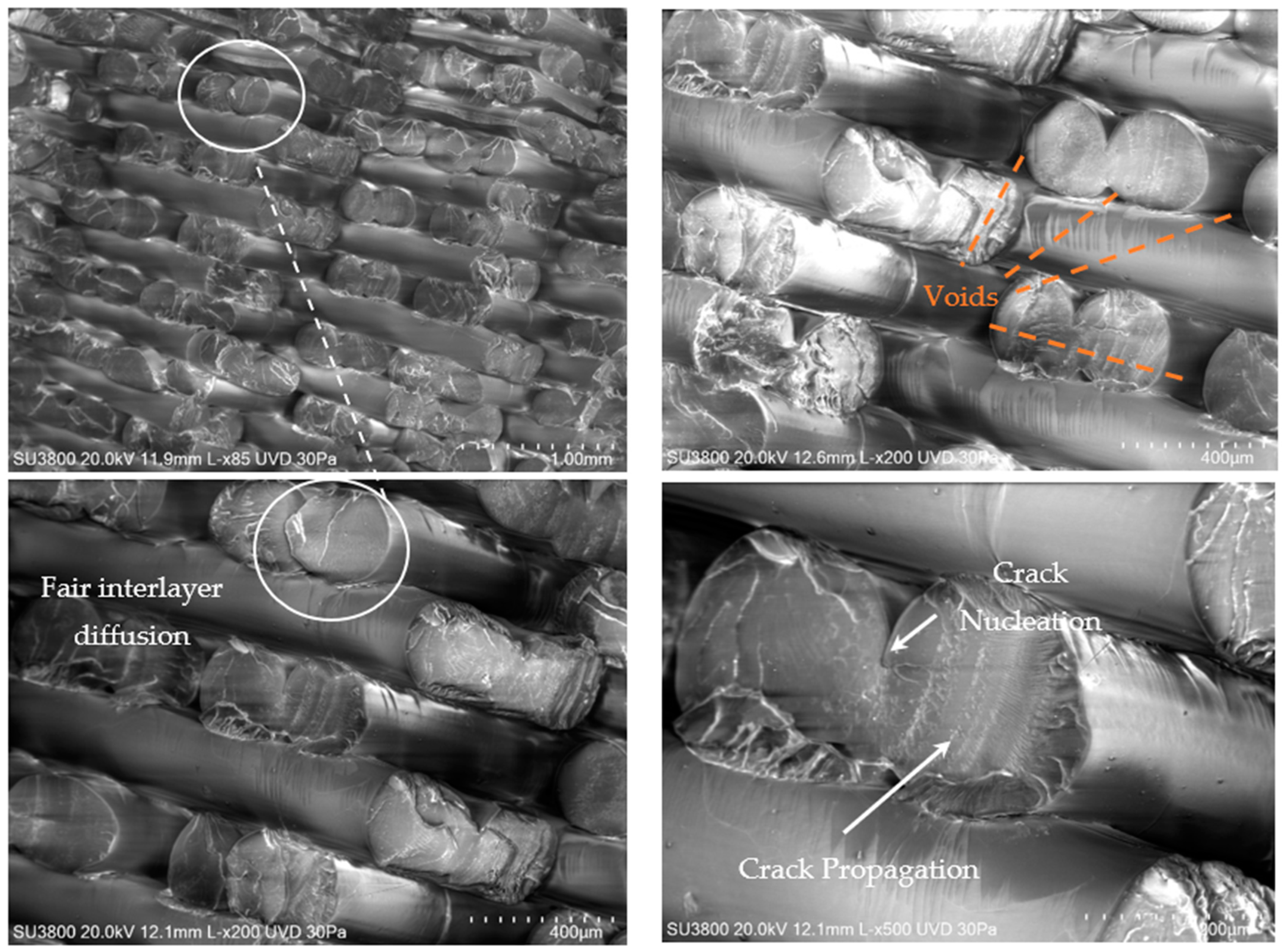 Polymers 16 01868 g007