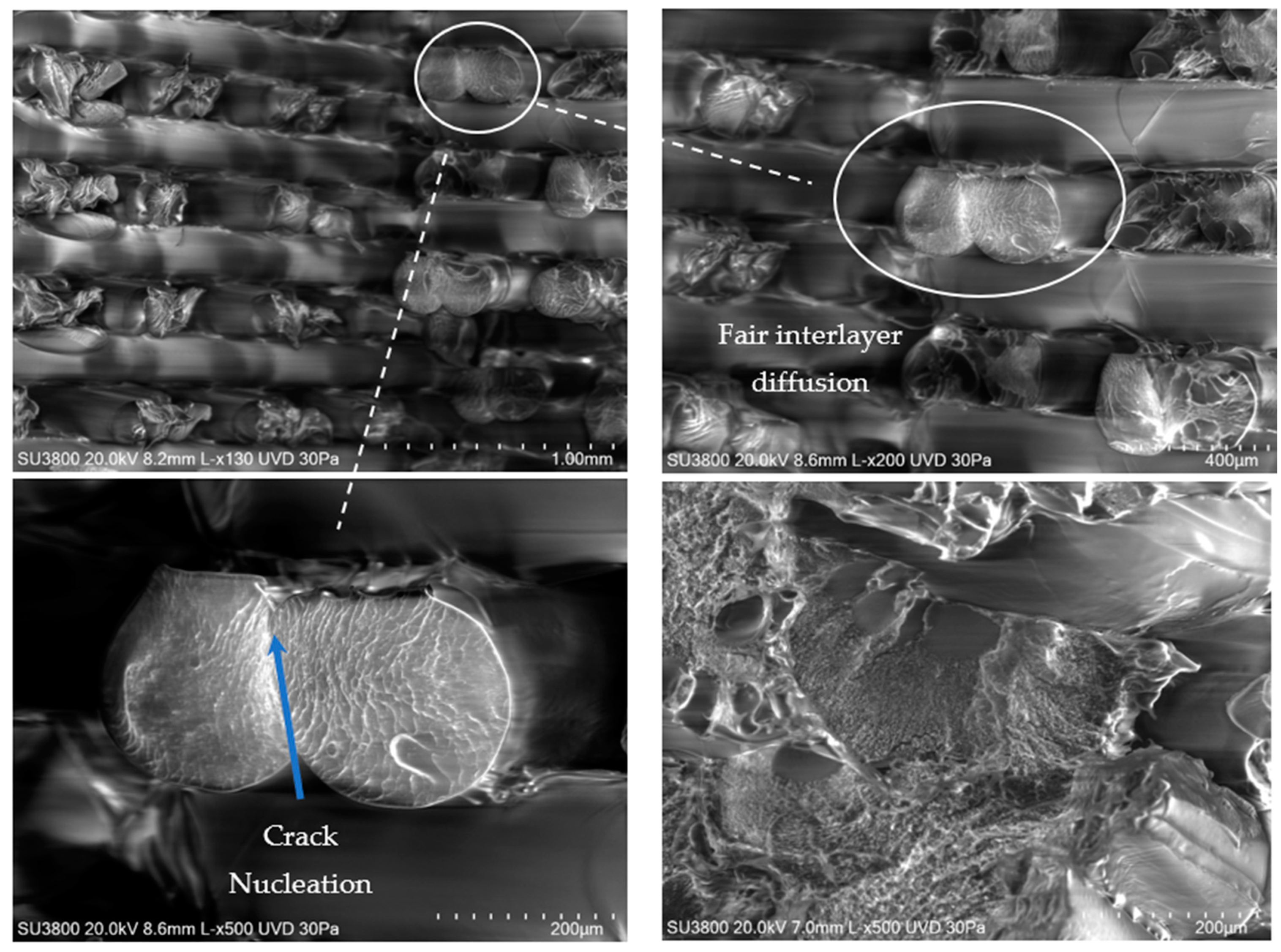 Polymers 16 01868 g008
