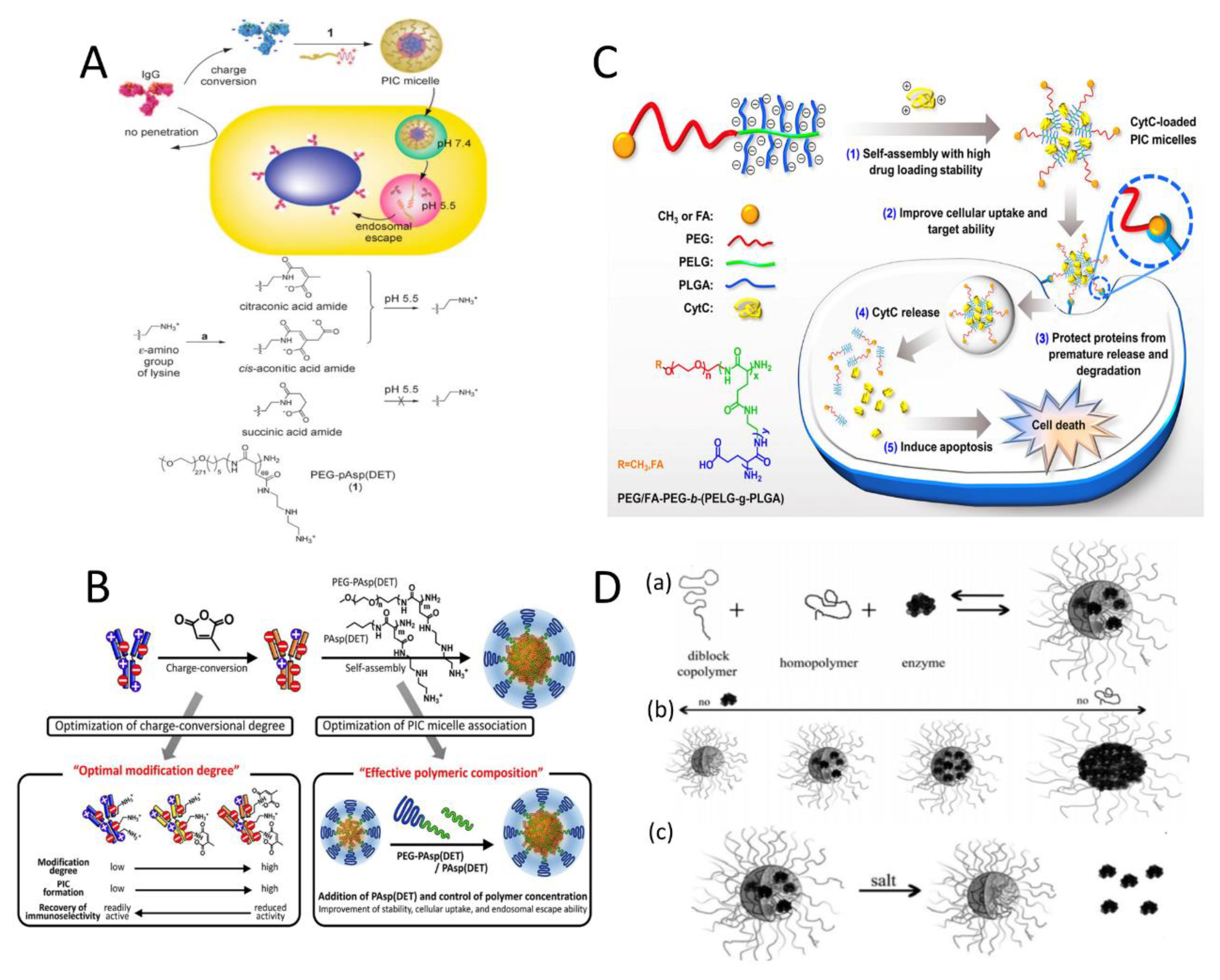 Polymers 16 01871 g004