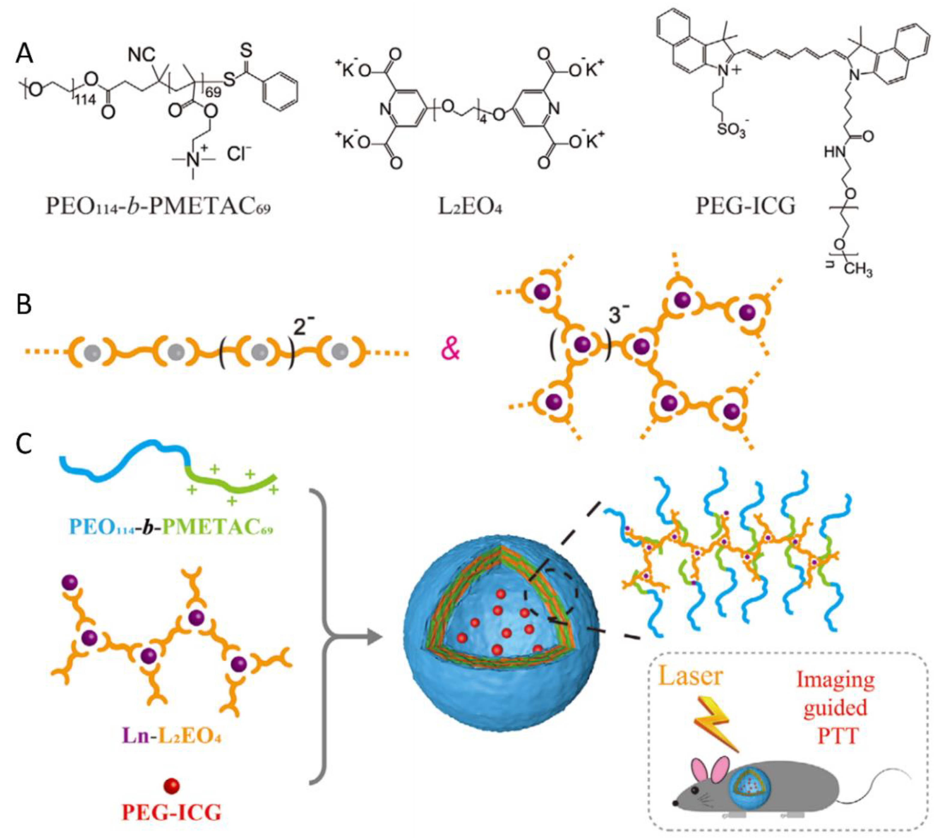 Polymers 16 01871 g010