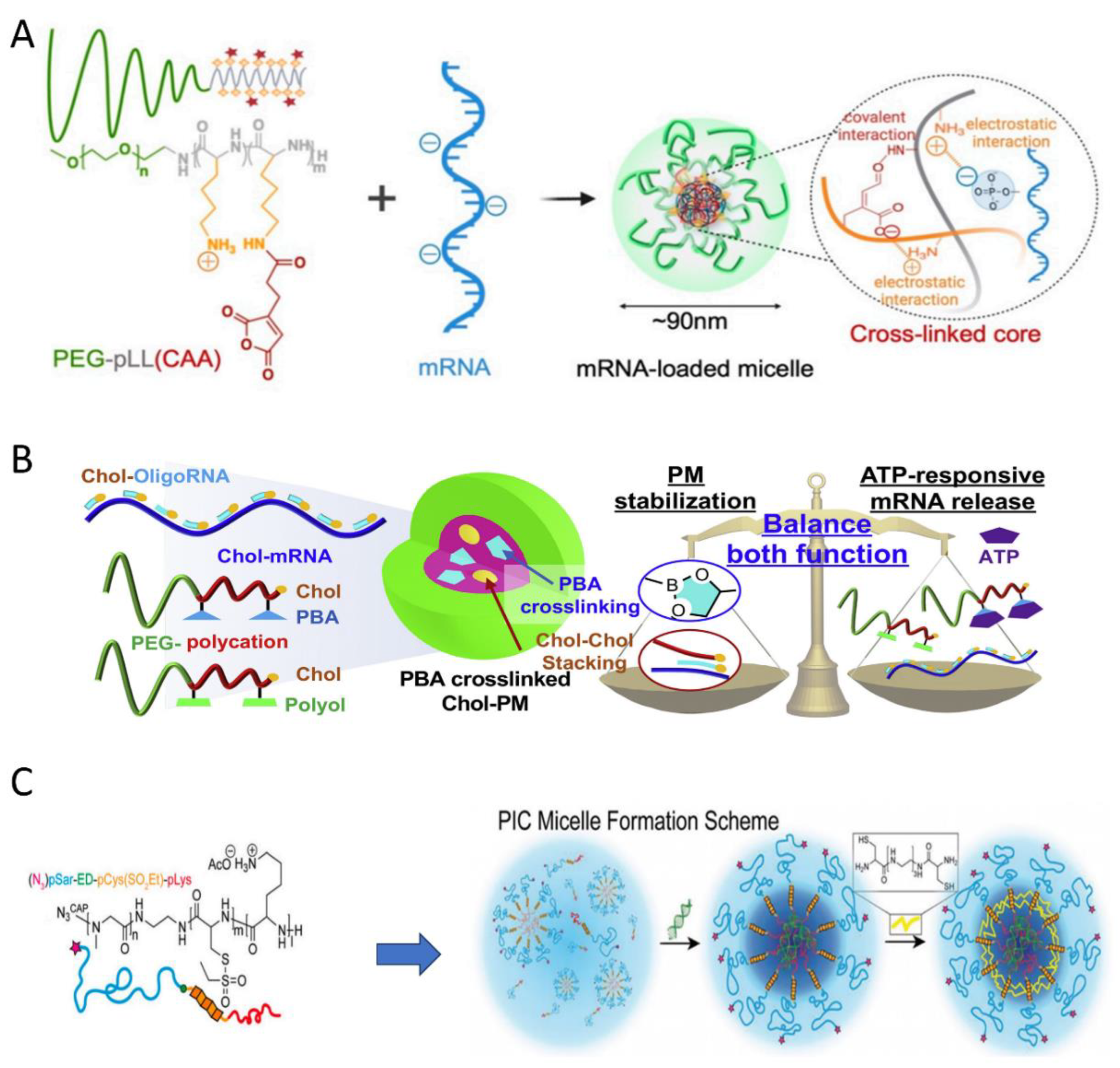 Polymers 16 01871 g011