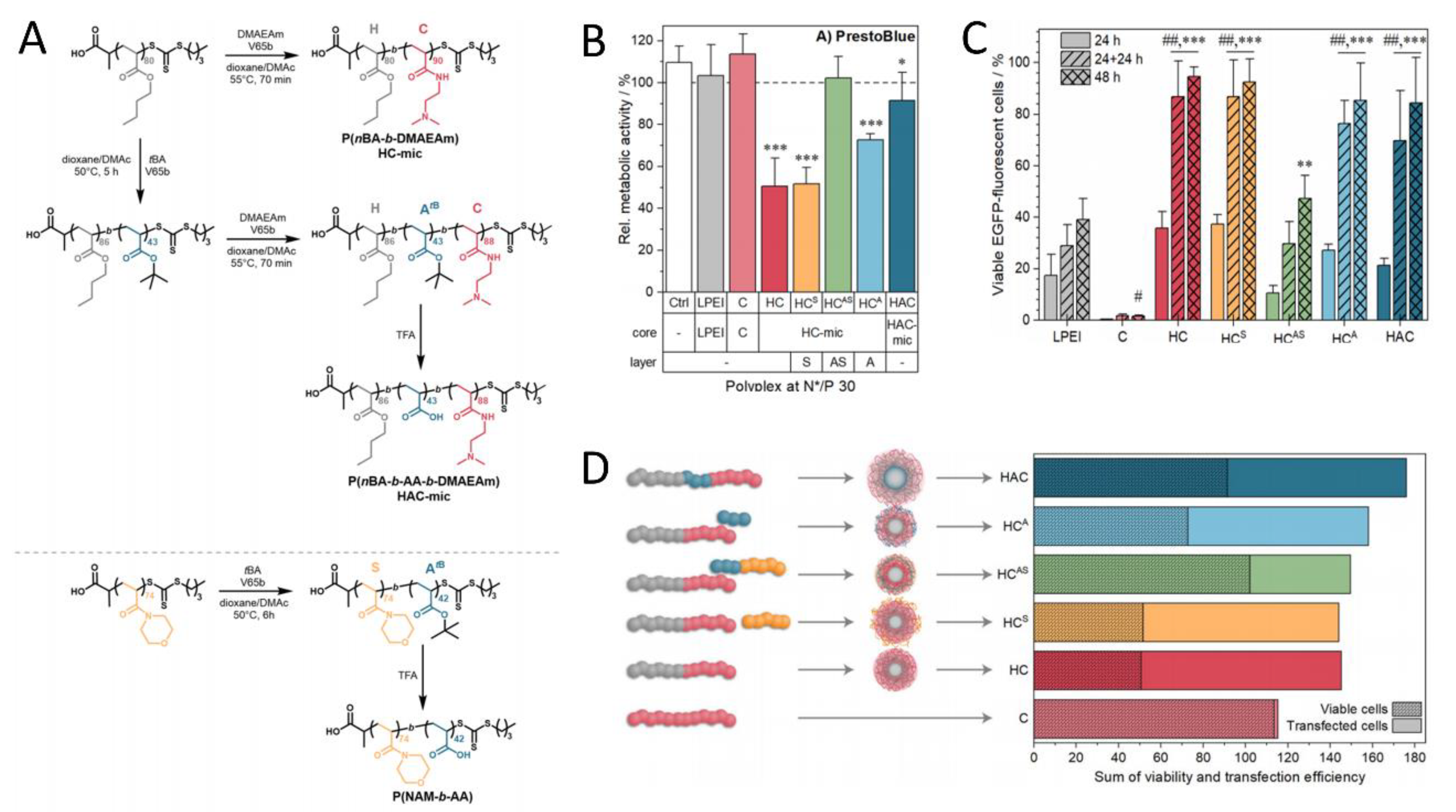 Polymers 16 01871 g012