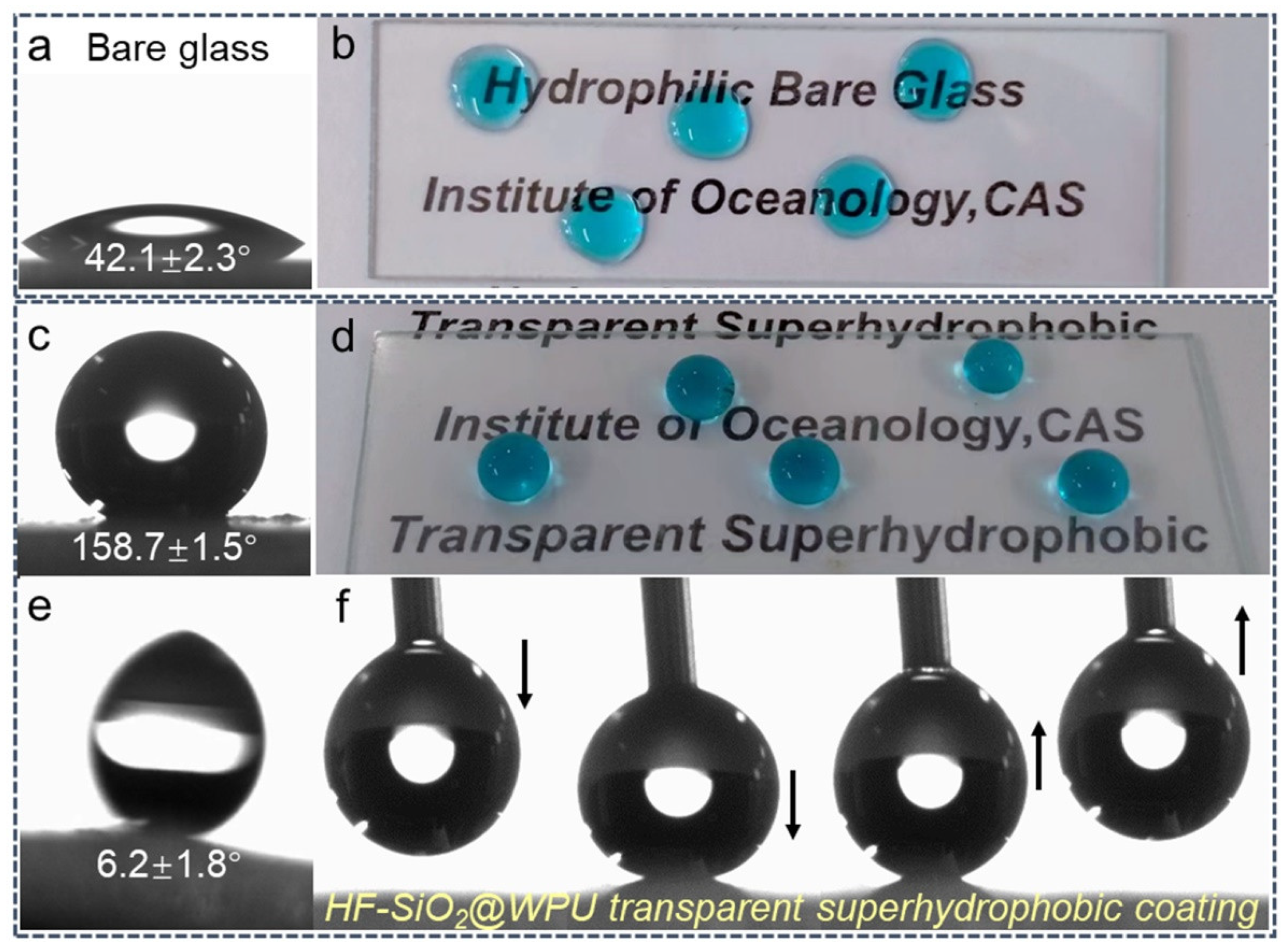 Polymers 16 01876 g006