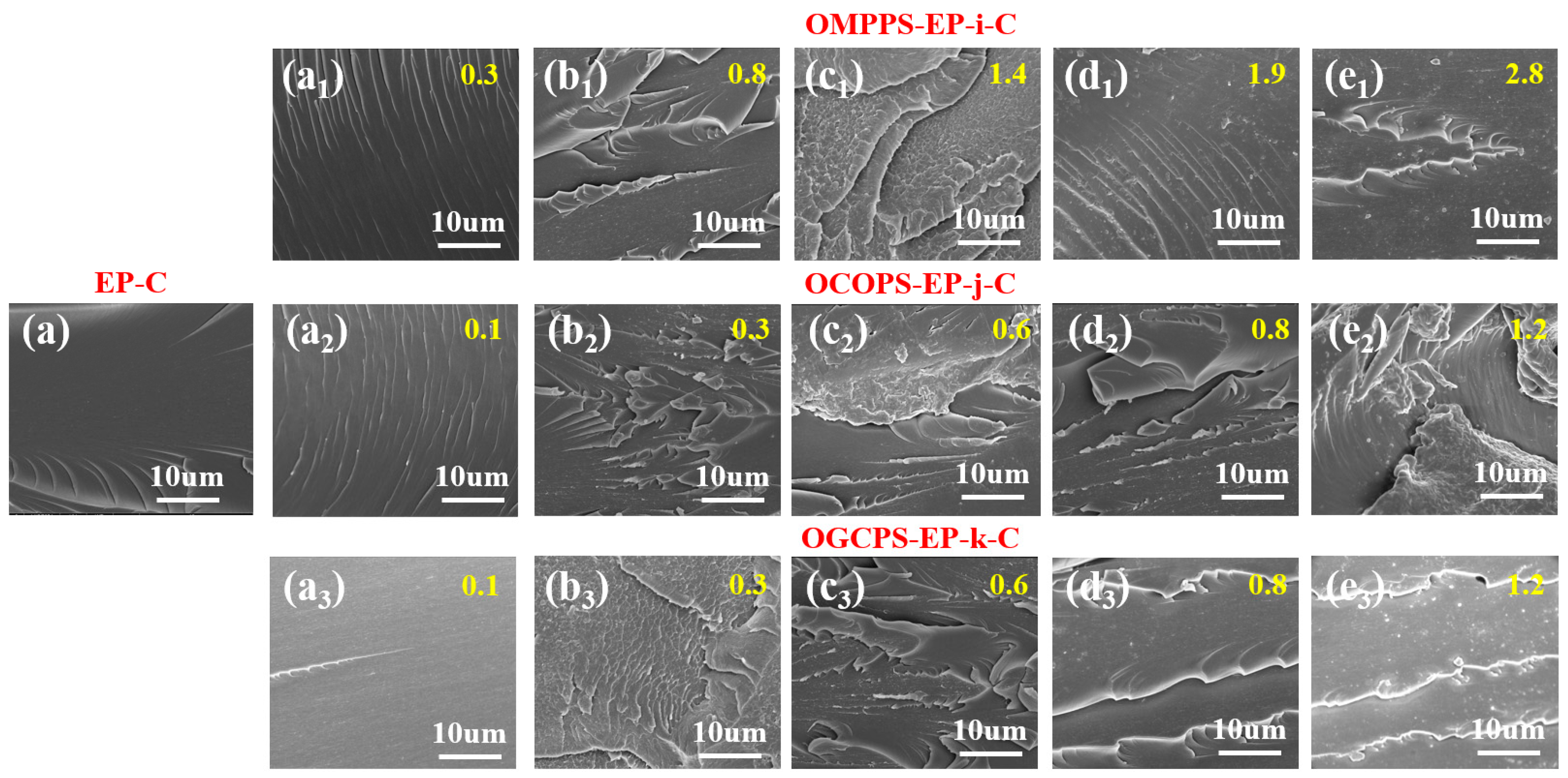 Polymers 16 01877 g010