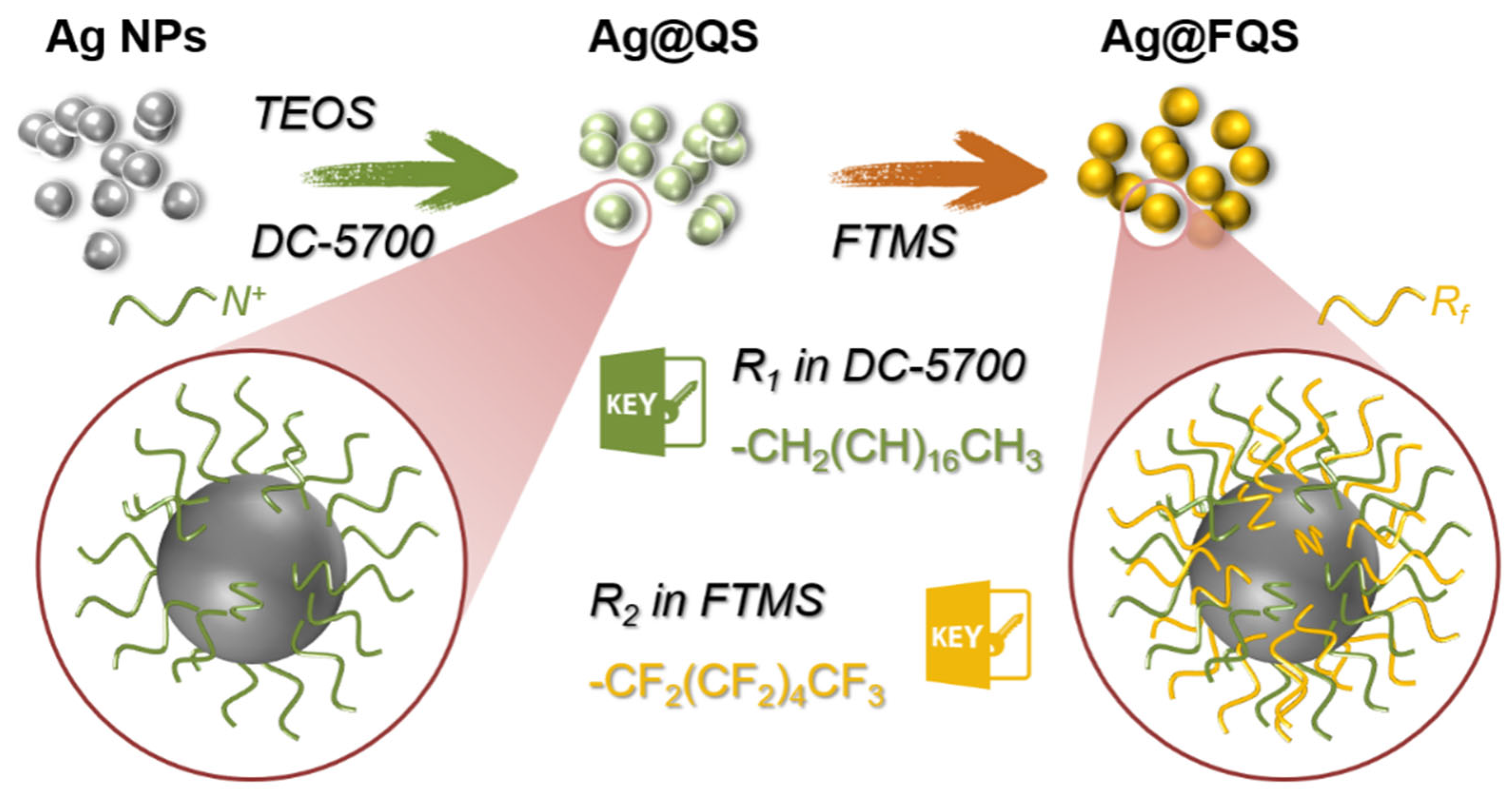Polymers 16 01885 g003