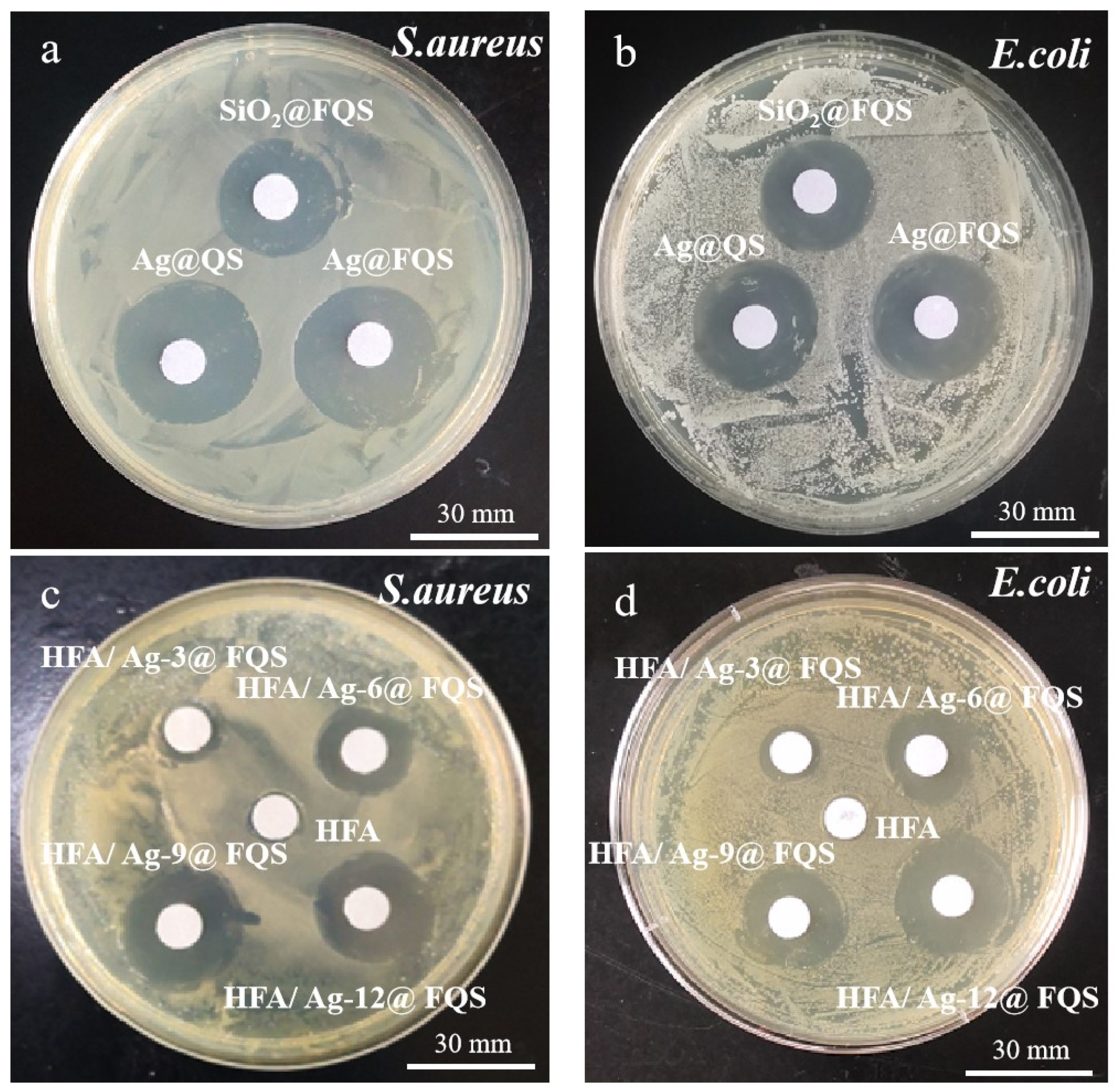 Polymers 16 01885 g011