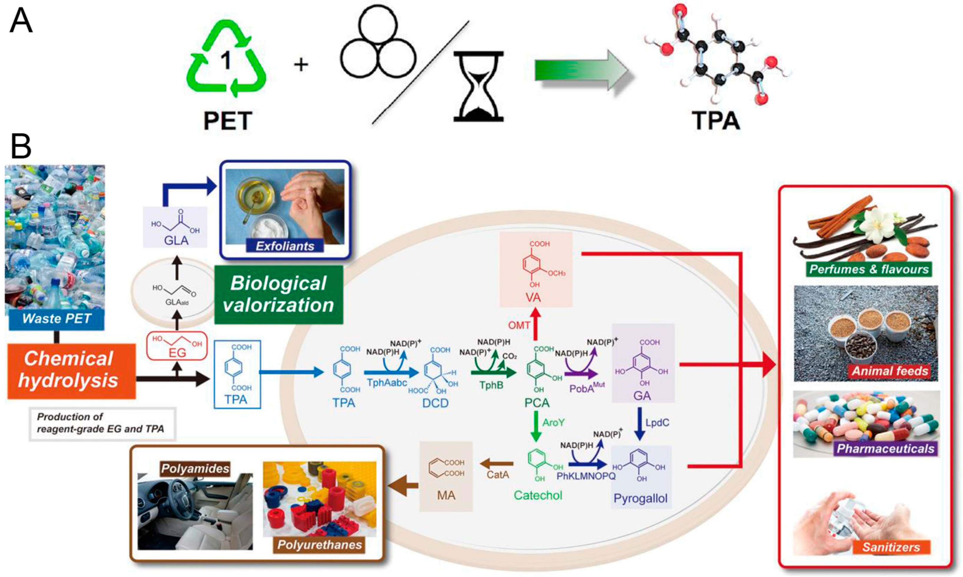 Polymers 16 01889 g003