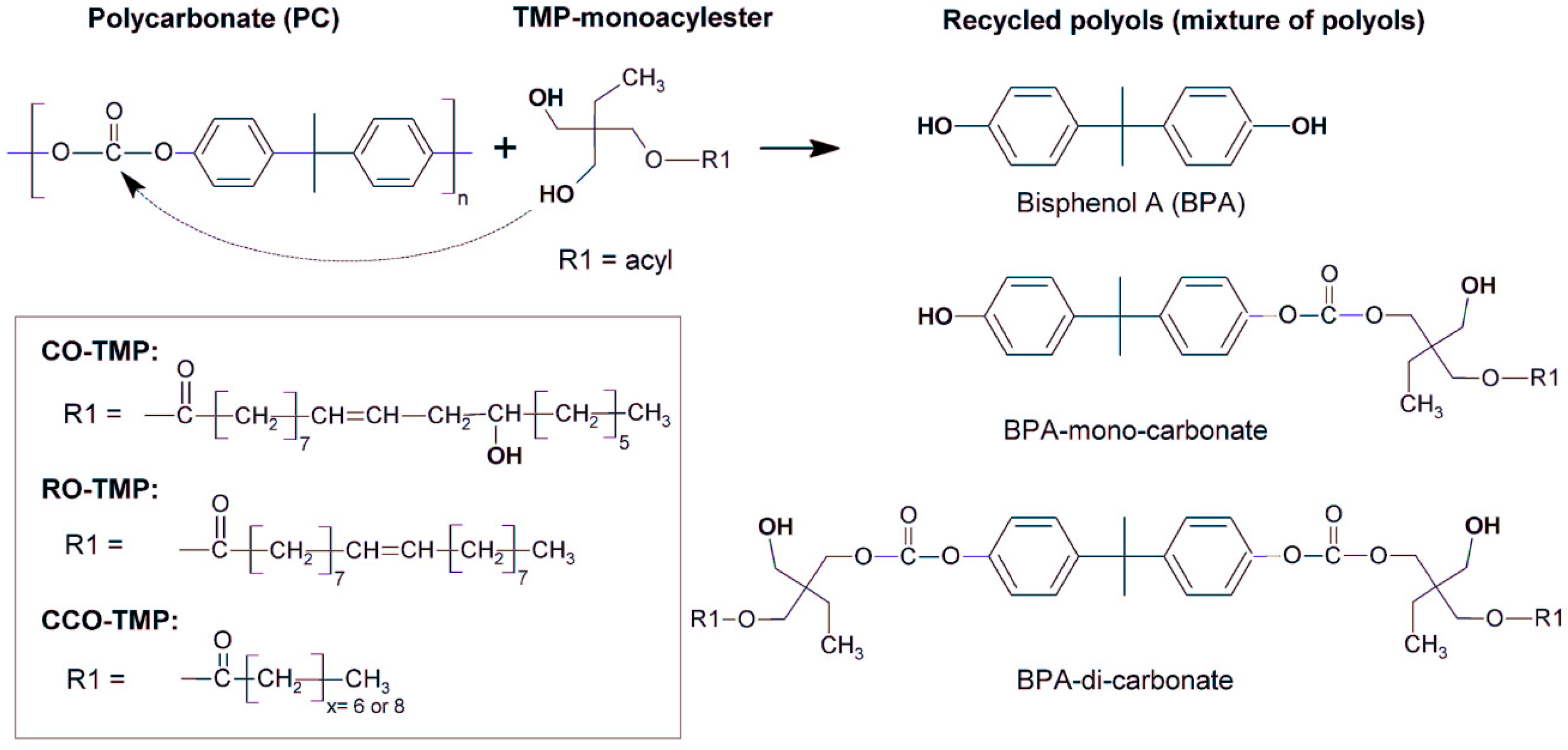 Polymers 16 01889 g005