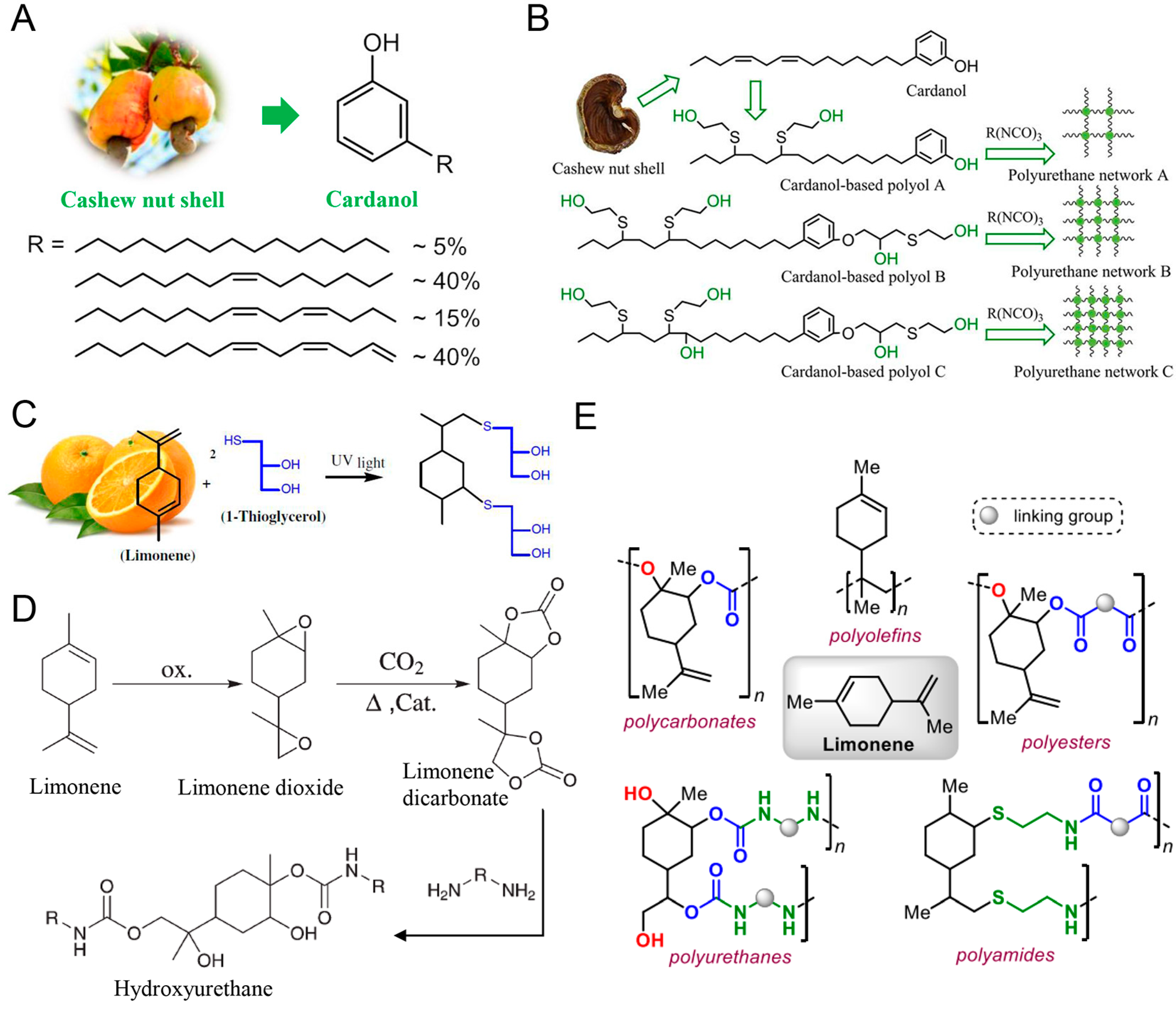 Polymers 16 01889 g007