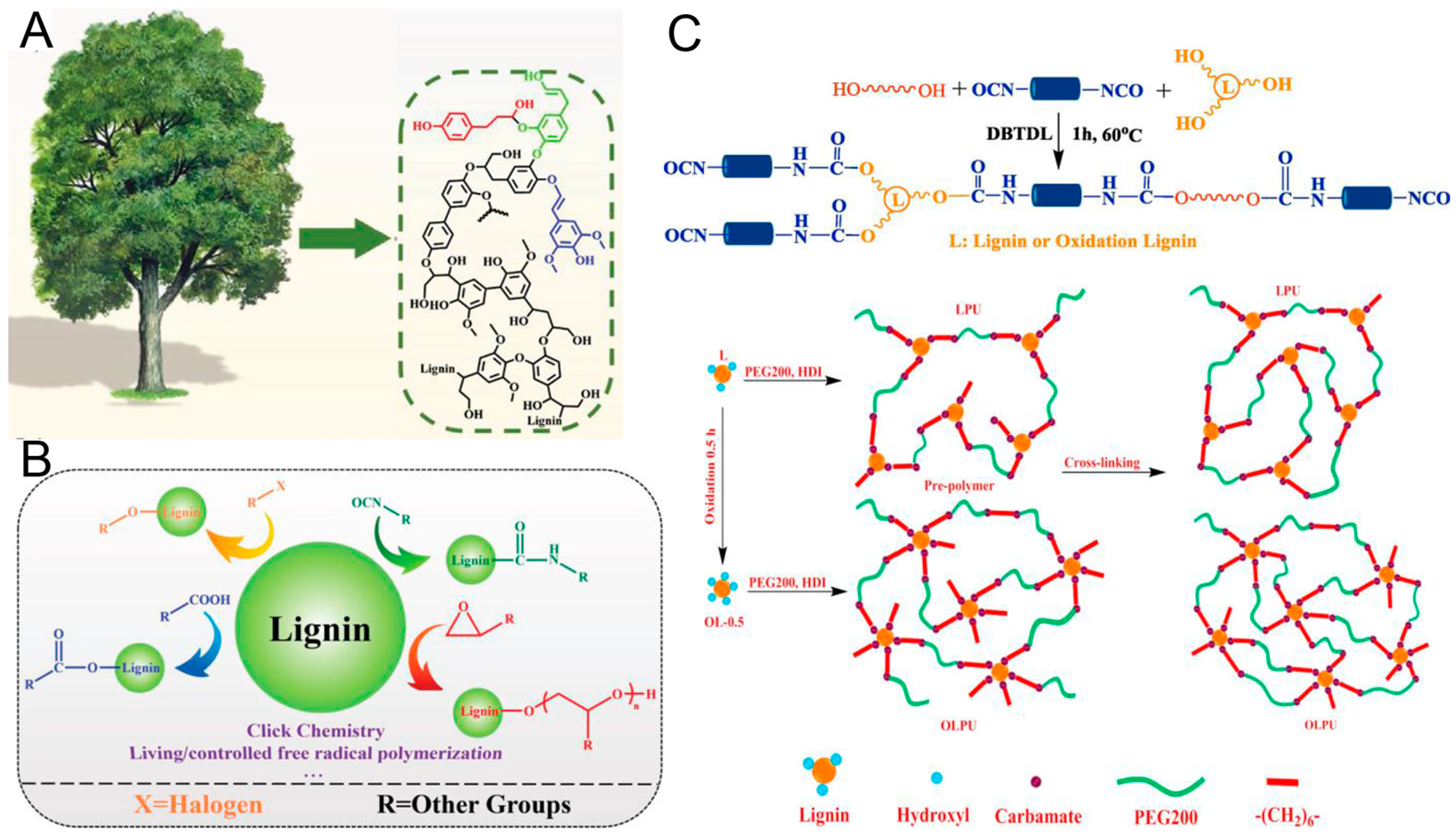 Polymers 16 01889 g008