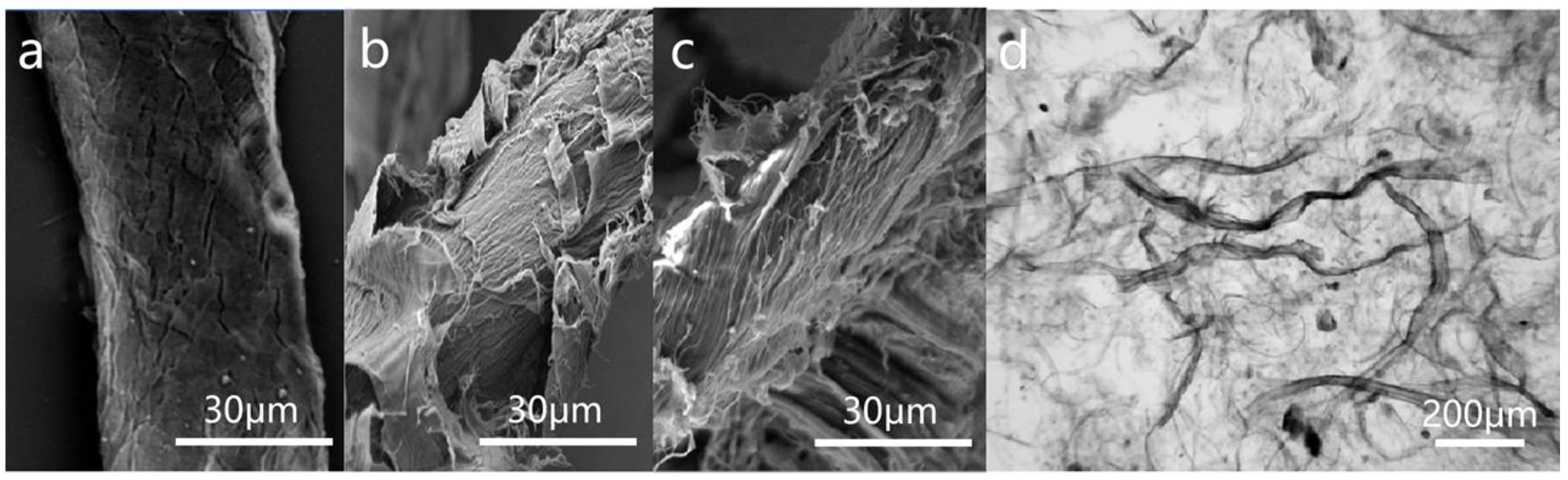 Polymers 16 01892 g002