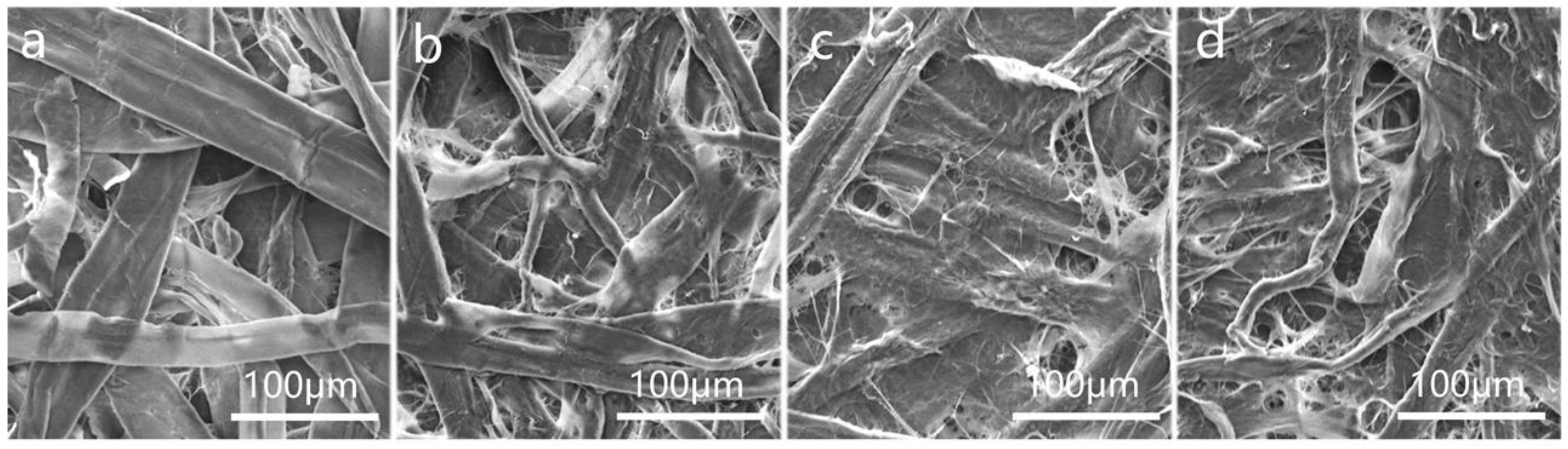 Polymers 16 01892 g003