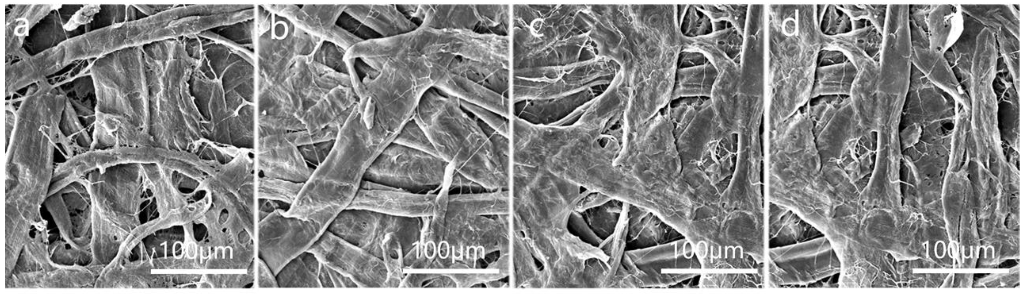 Polymers 16 01892 g005